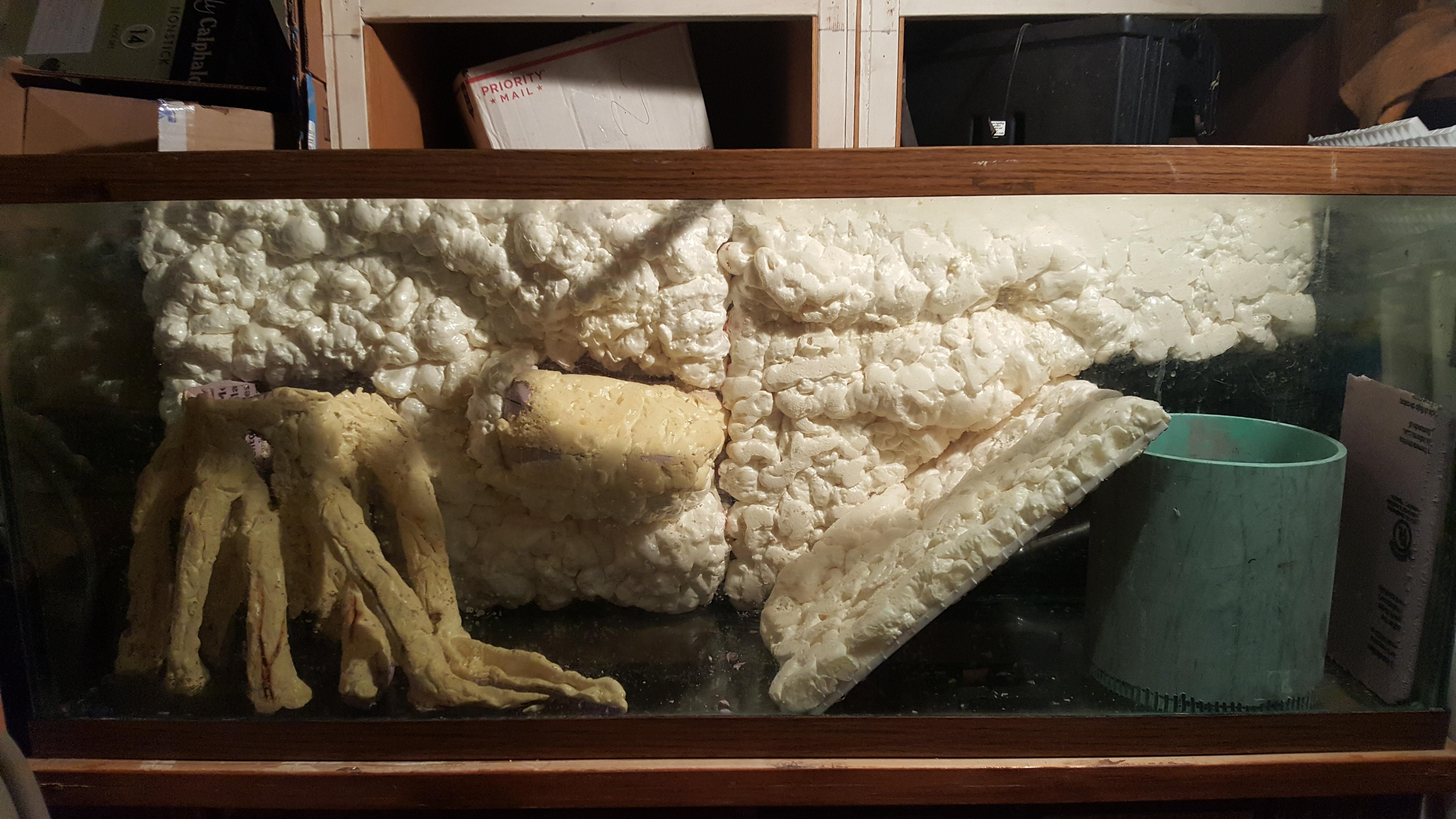 Updated progress pic of the Mississippi Mud Turtle tank I am building