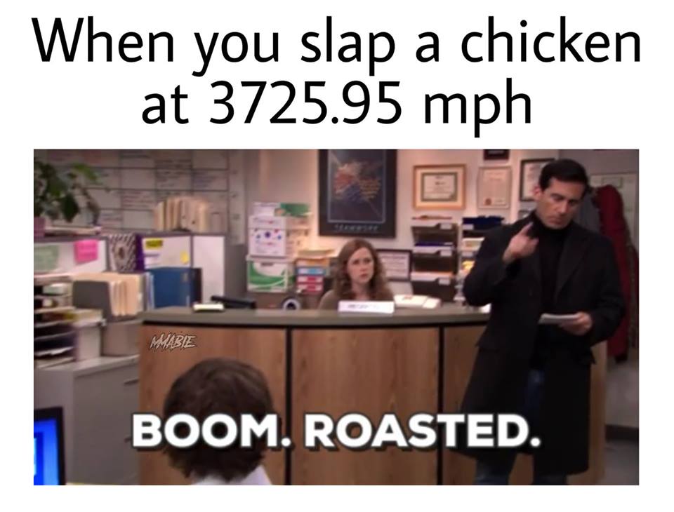 Boom roasted r/DunderMifflin