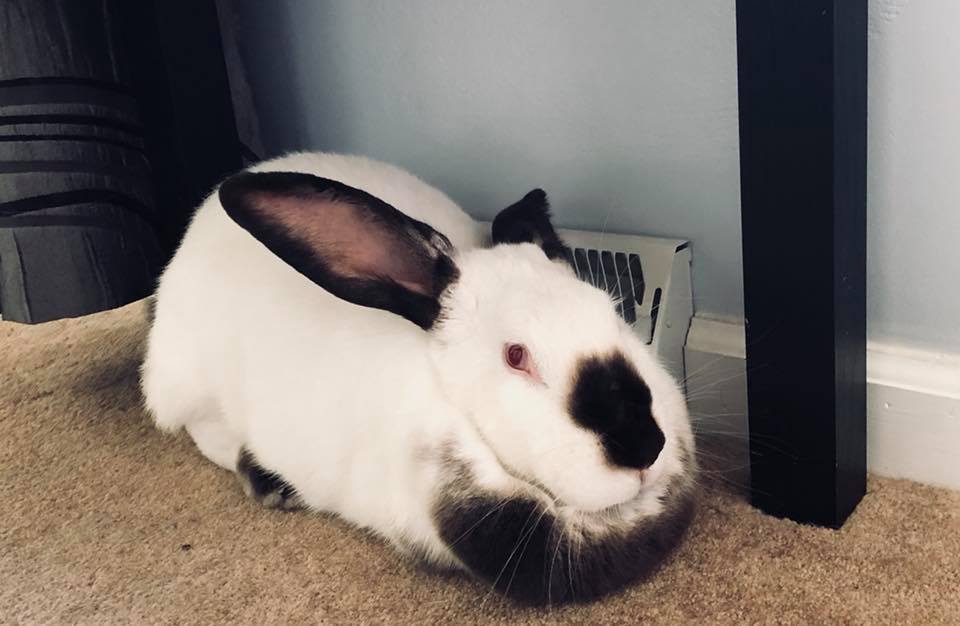 Me The a/c is on, why is it still so hot in here? Avocado Toast 😬