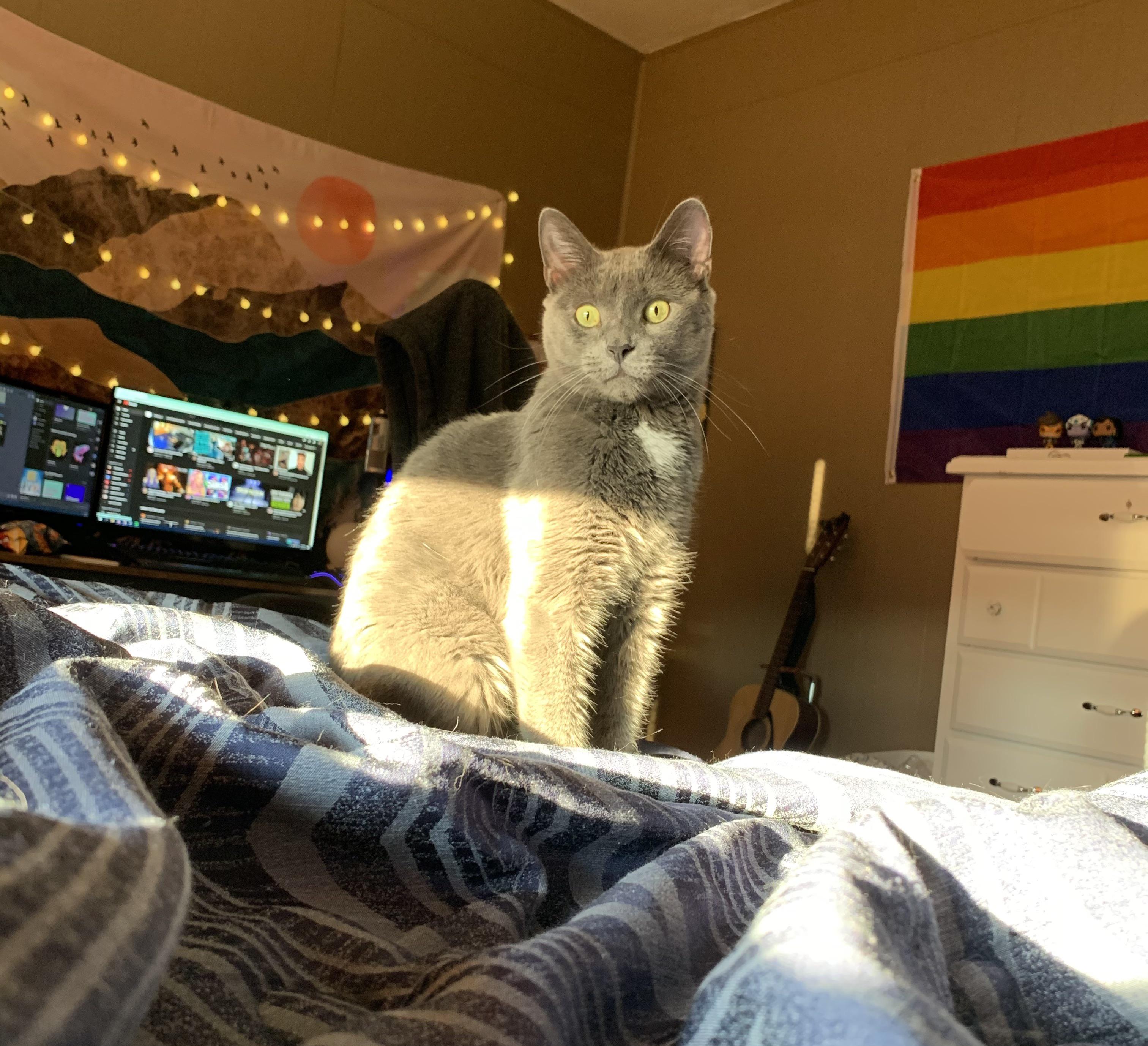 He watches over me while I’m napping r/aww
