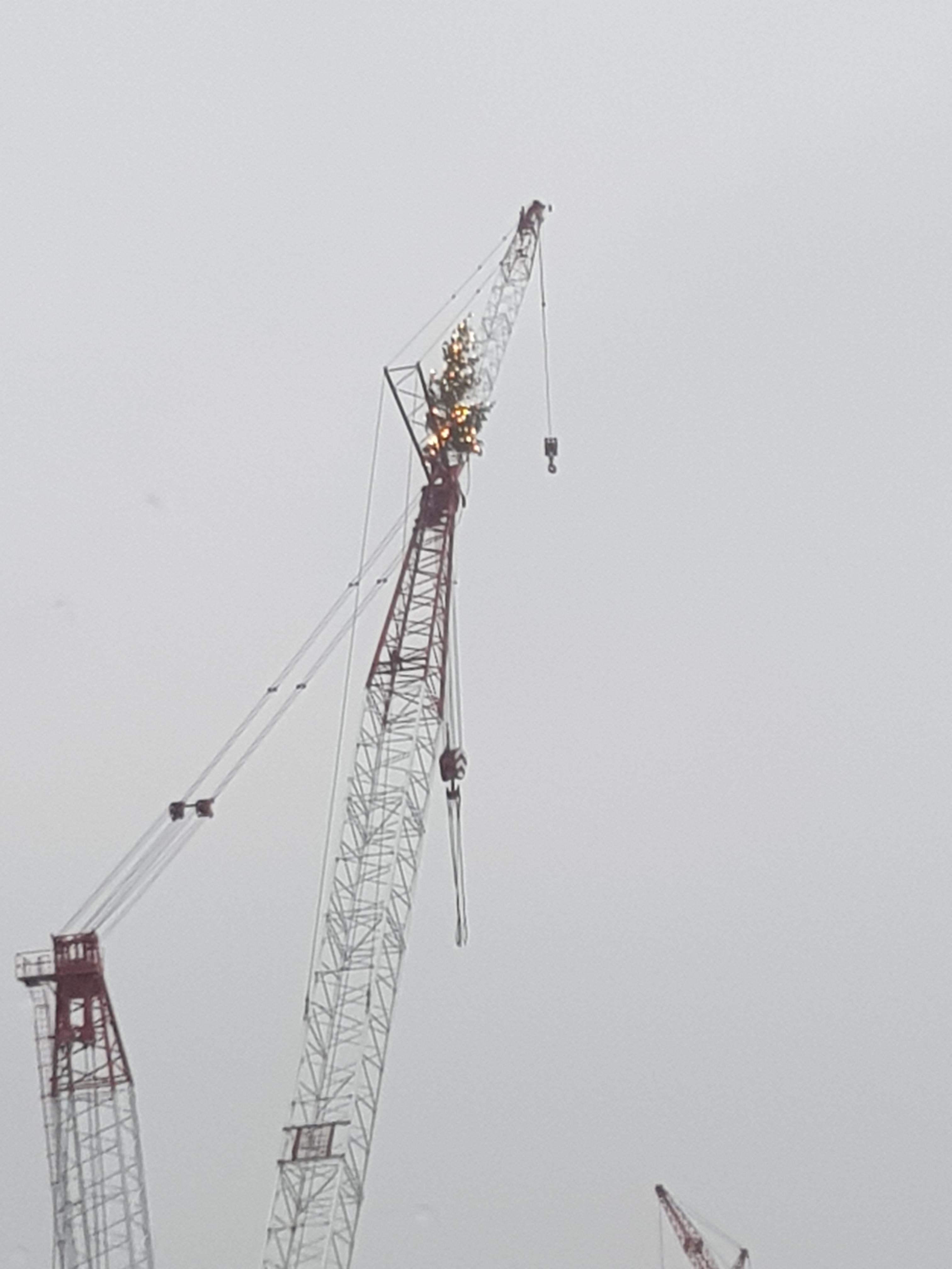 This crane storage place I sometimes drive past in the Netherlands puts