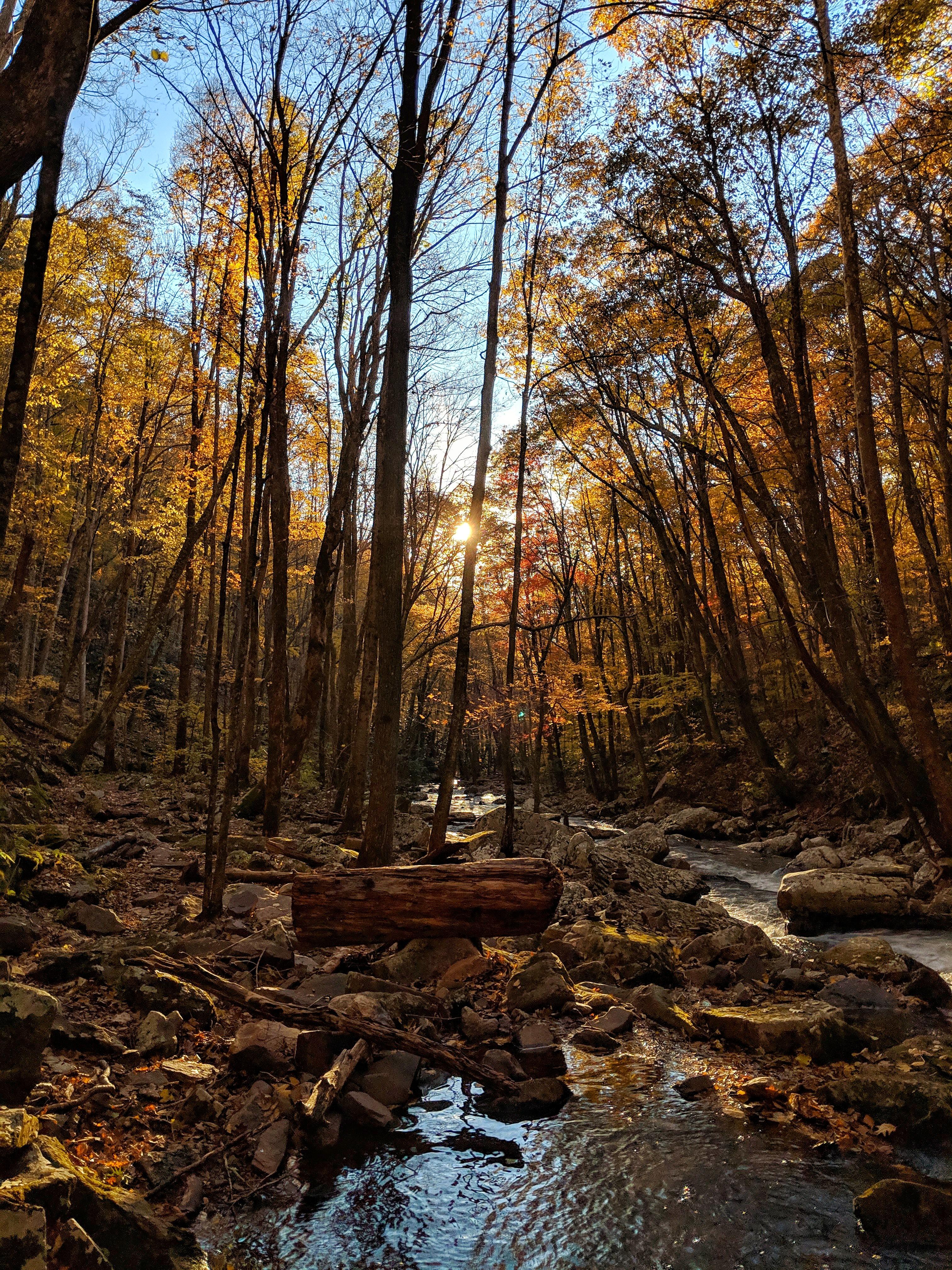 Cascades Trail, Jefferson National Forest, VA. [4032×3024], [OC]. r