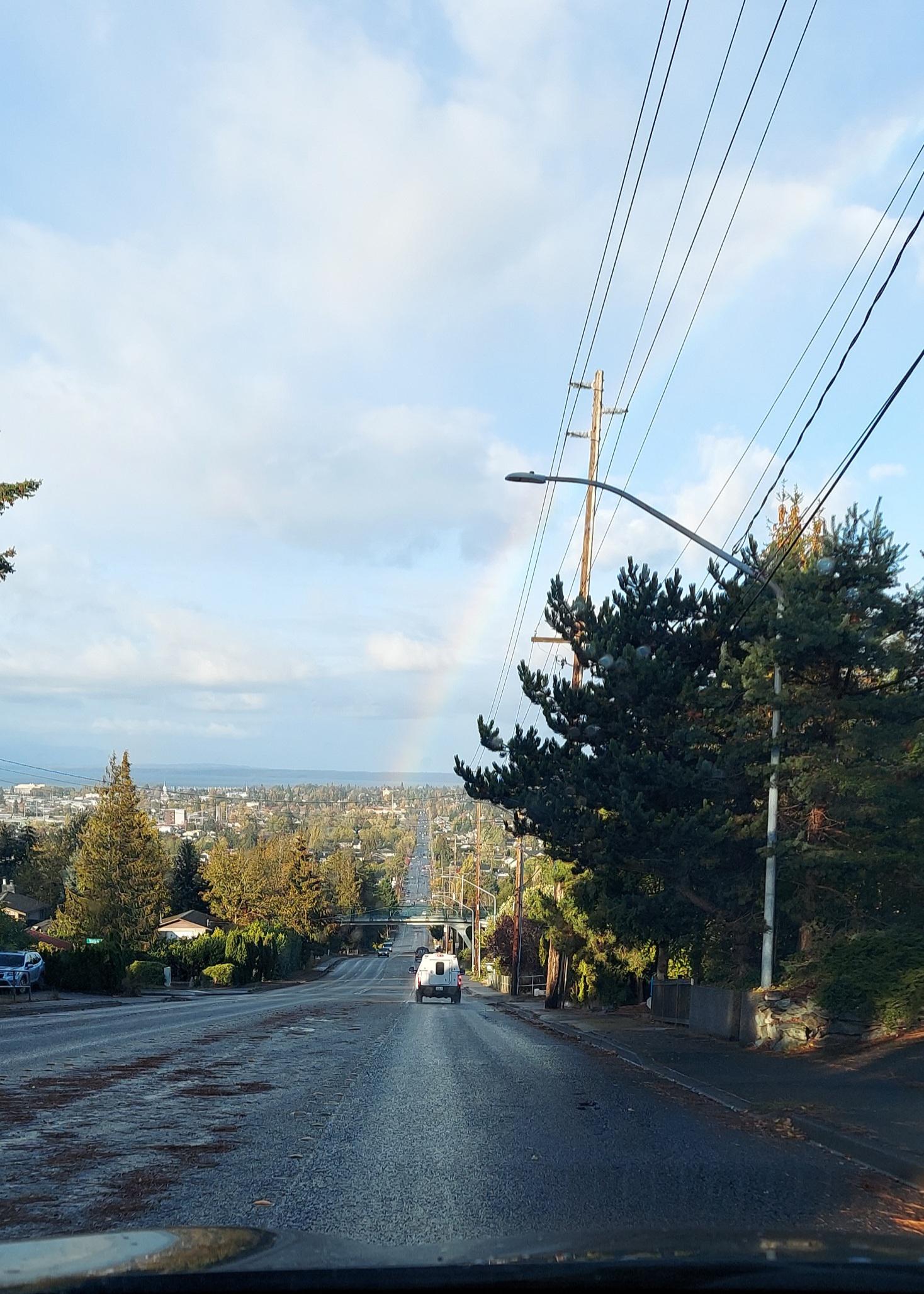 View from Alabama hill this morning r/Bellingham