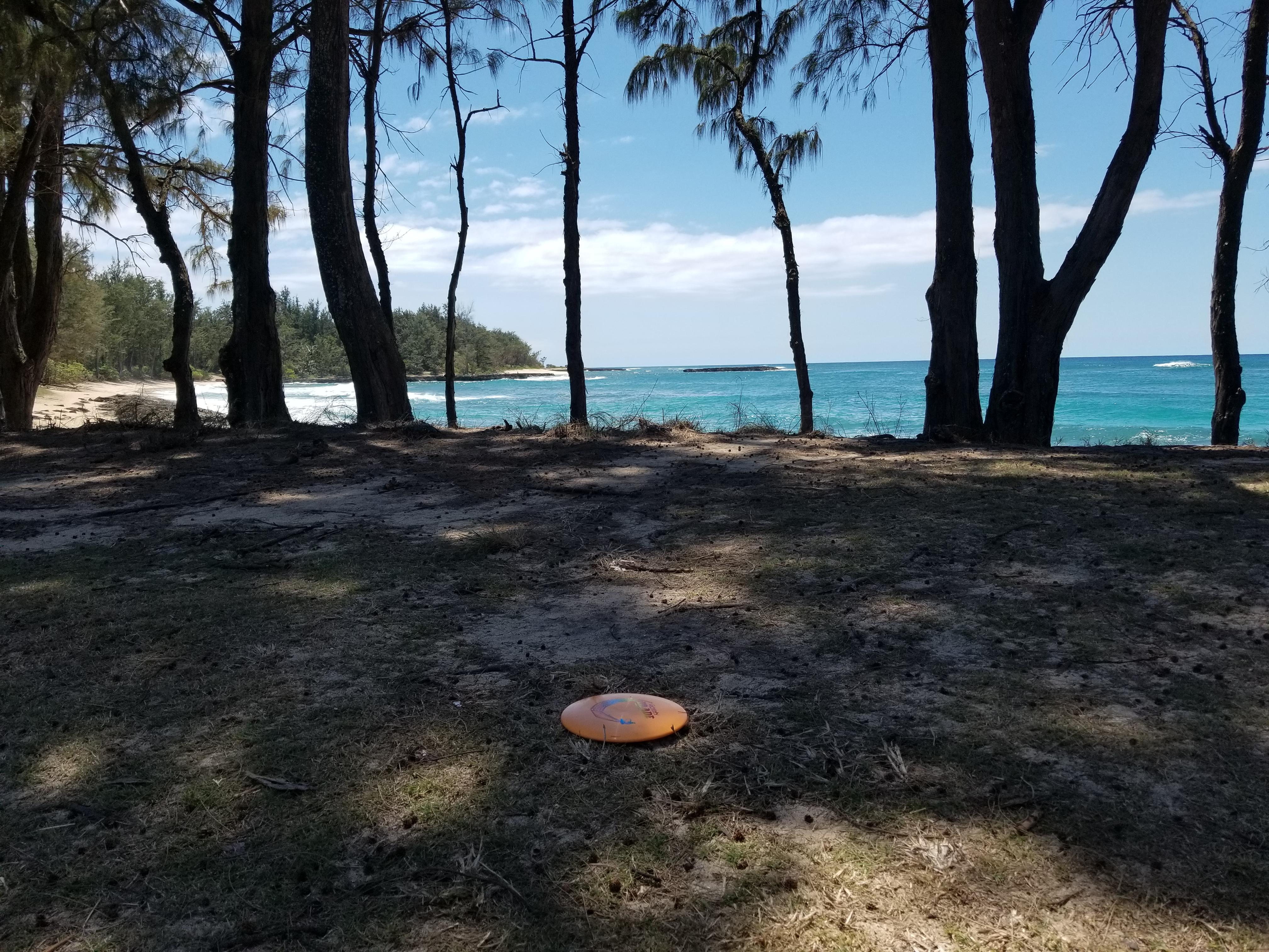 Oahu disc golfing r/discgolf