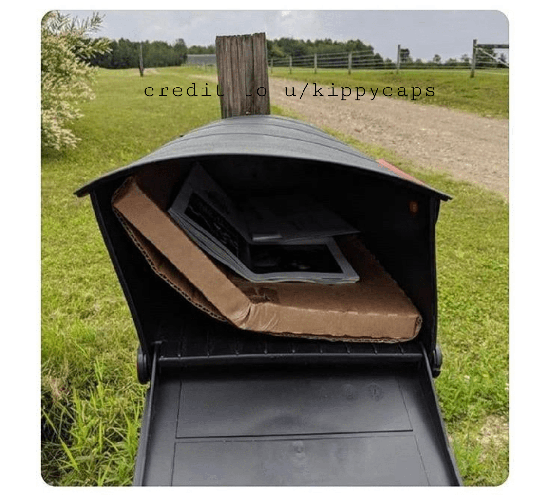A vinyl record. Thanks USPS! r/Wellthatsucks