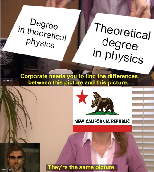 "They asked me how well I understood theoretical physics. I said I had