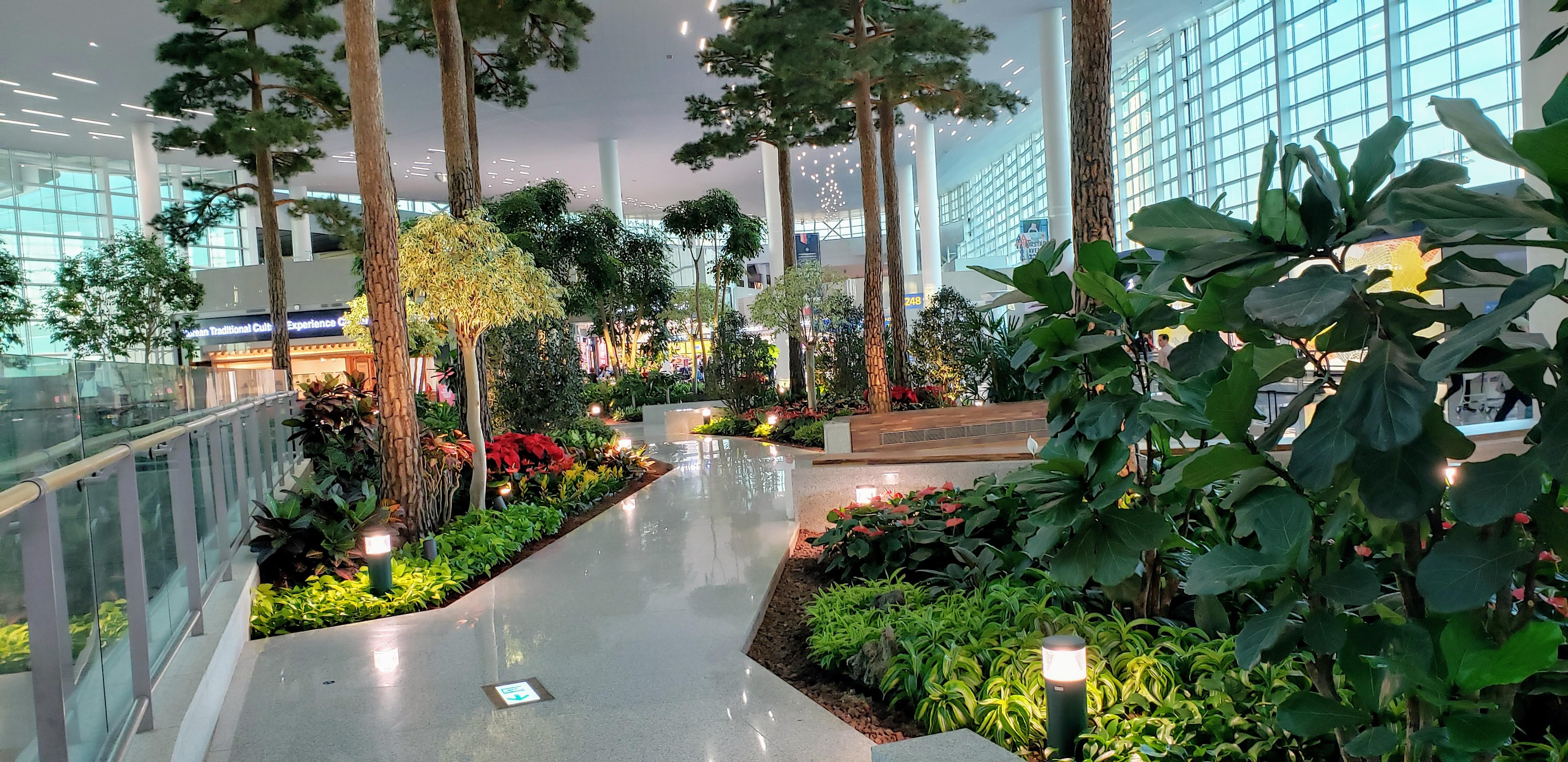Indoor garden in Incheong International Airport, South Korea [oc] airport