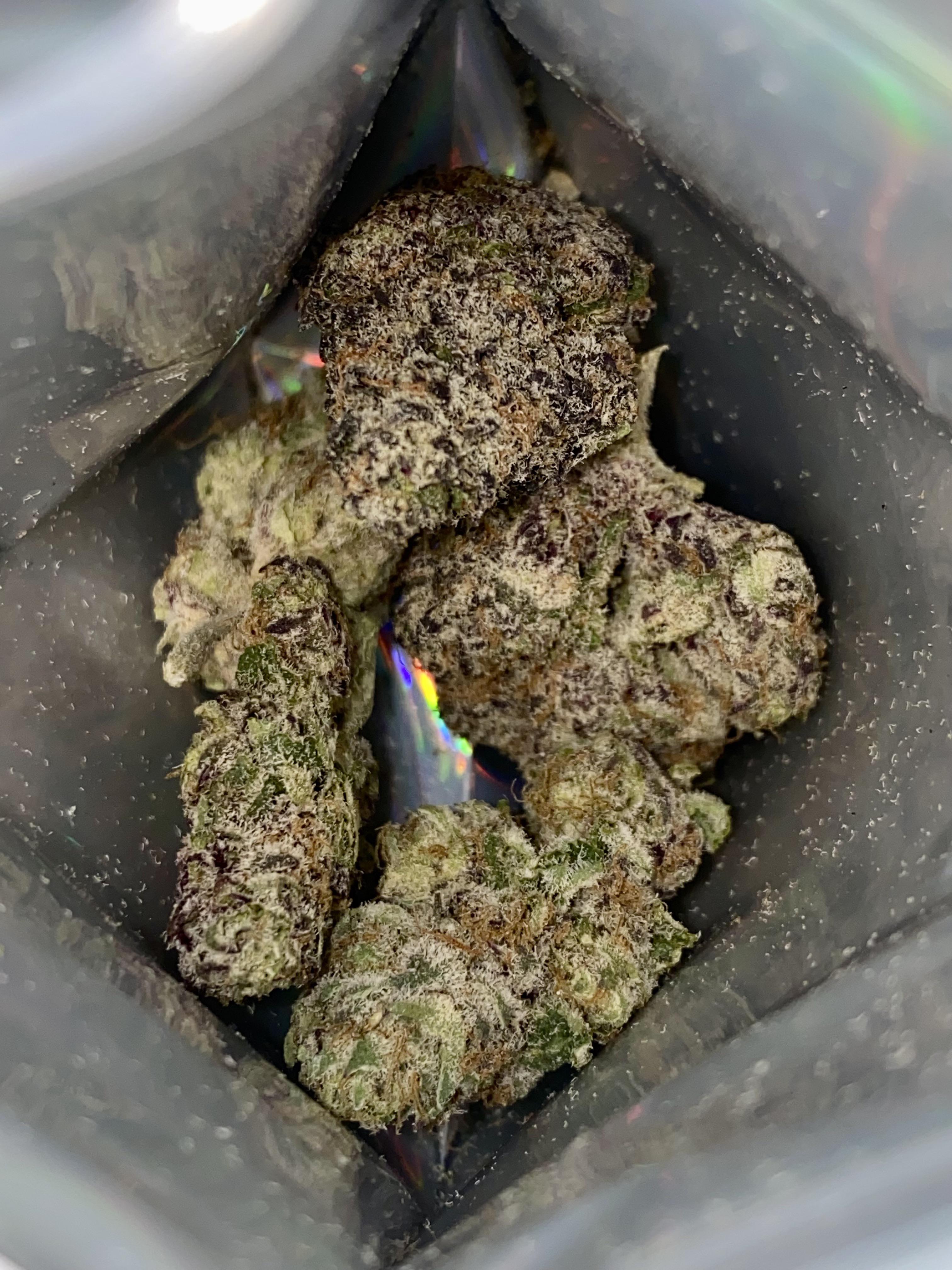 Boutique Plants r/NYCtrees