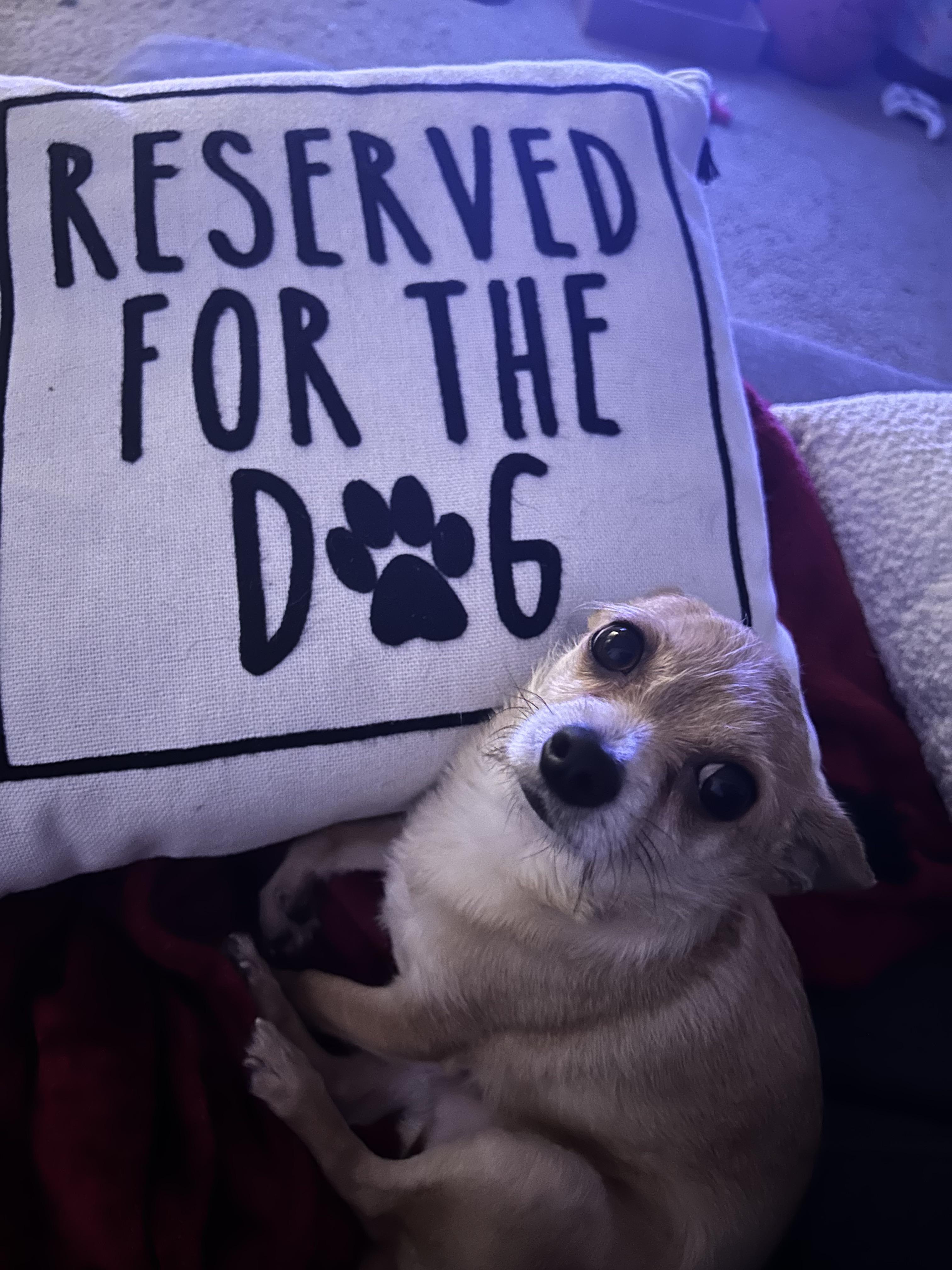 This is his pillow r/ThisismyPillow