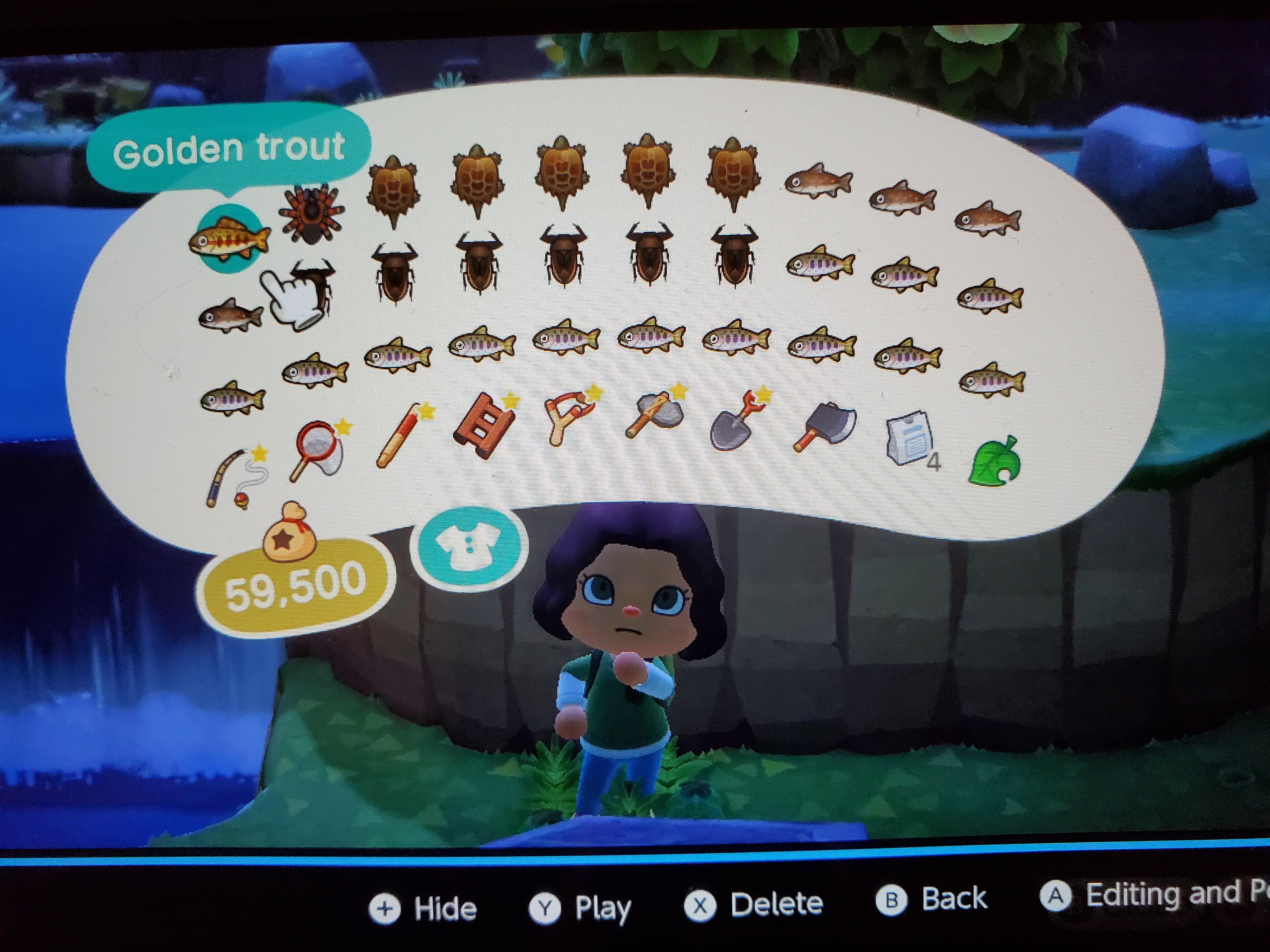 Golden Trout Animal Crossing Shadow Size / May Animal Crossing New