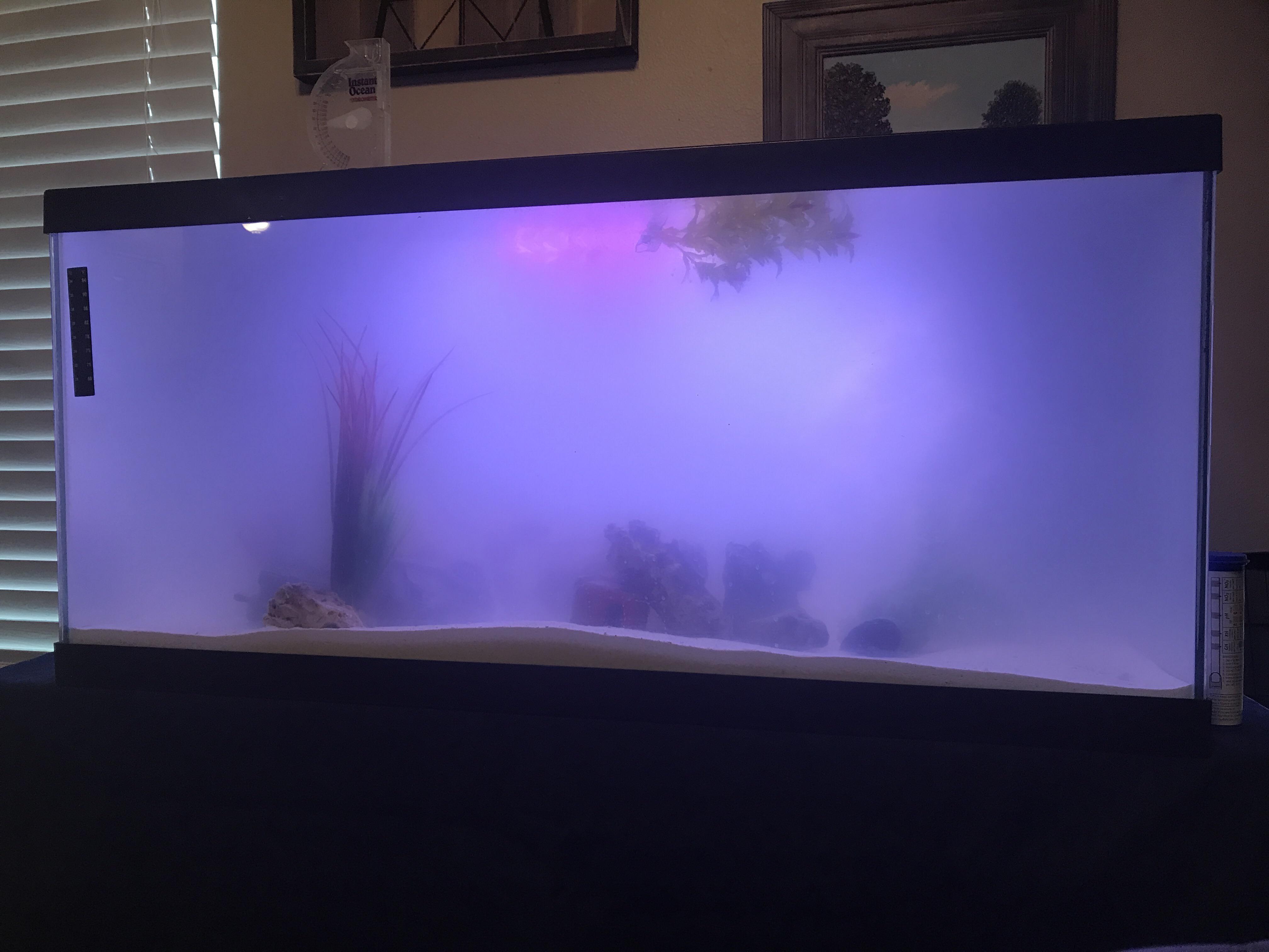 Why is my salt water tank really cloudy r/Aquariums
