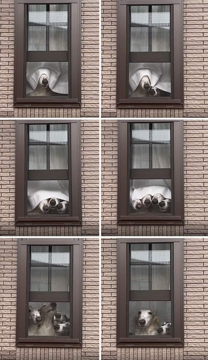 overview for Tambsxoxo