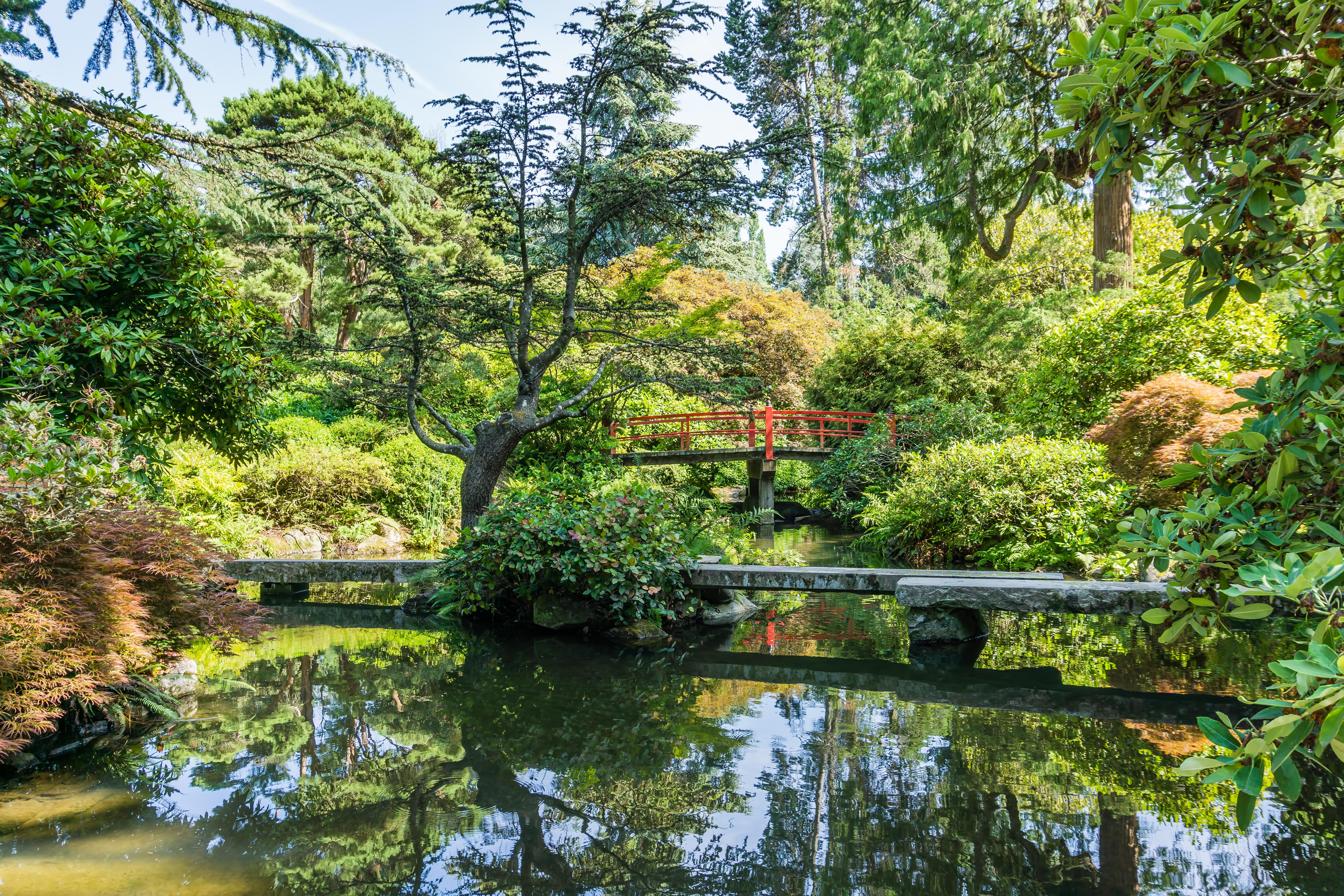 Kubota Garden in Renton, Washington. r/PacificNorthwest