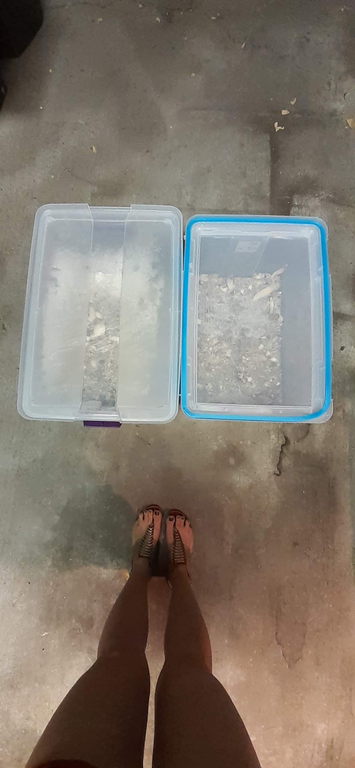 [Technique] No Mod Fruiting Chamber 54qt gasket box (right) 66qt