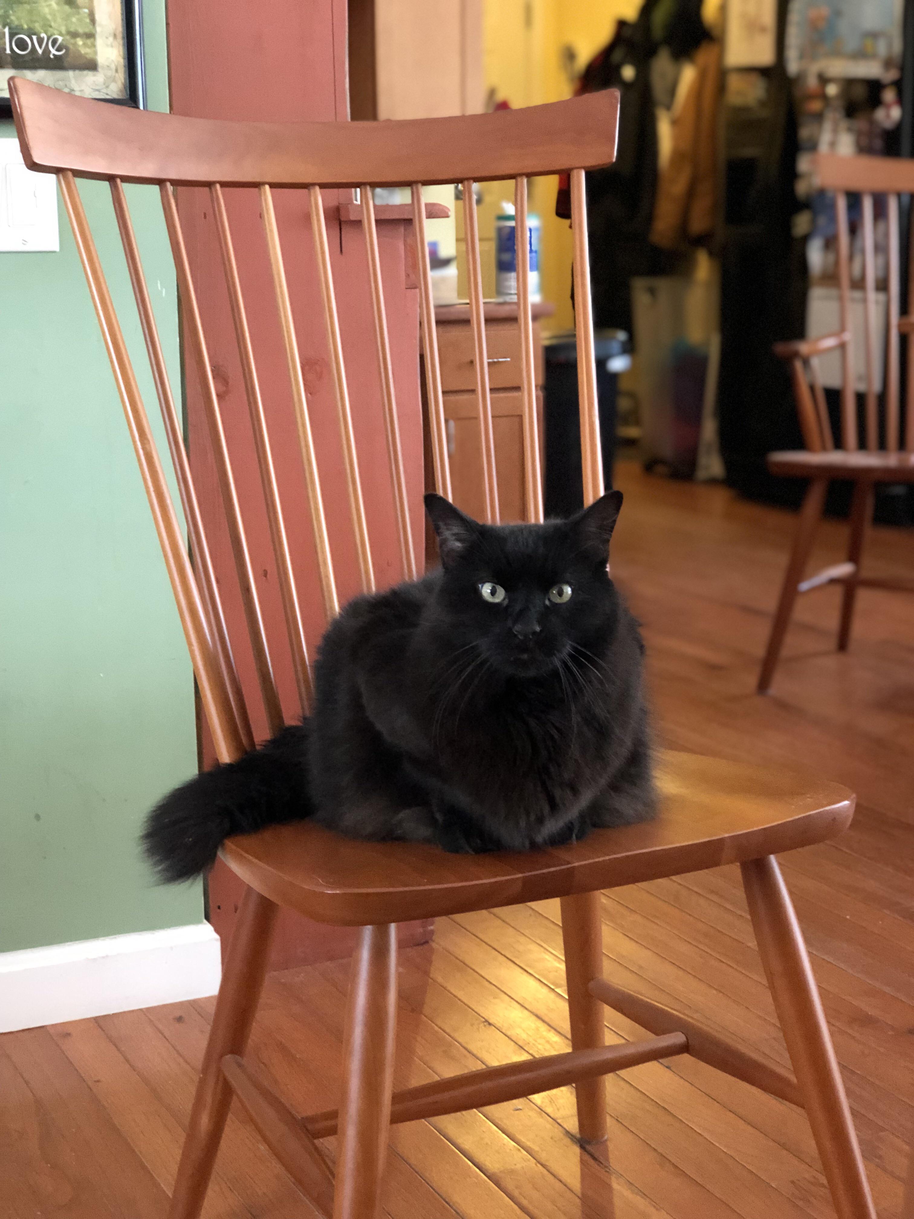 I don’t always steal the kitchen chairs, but when I do, I make sure I’m