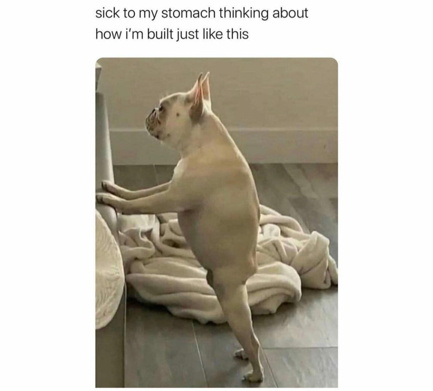 Men over 35 in skinny jeans. meme