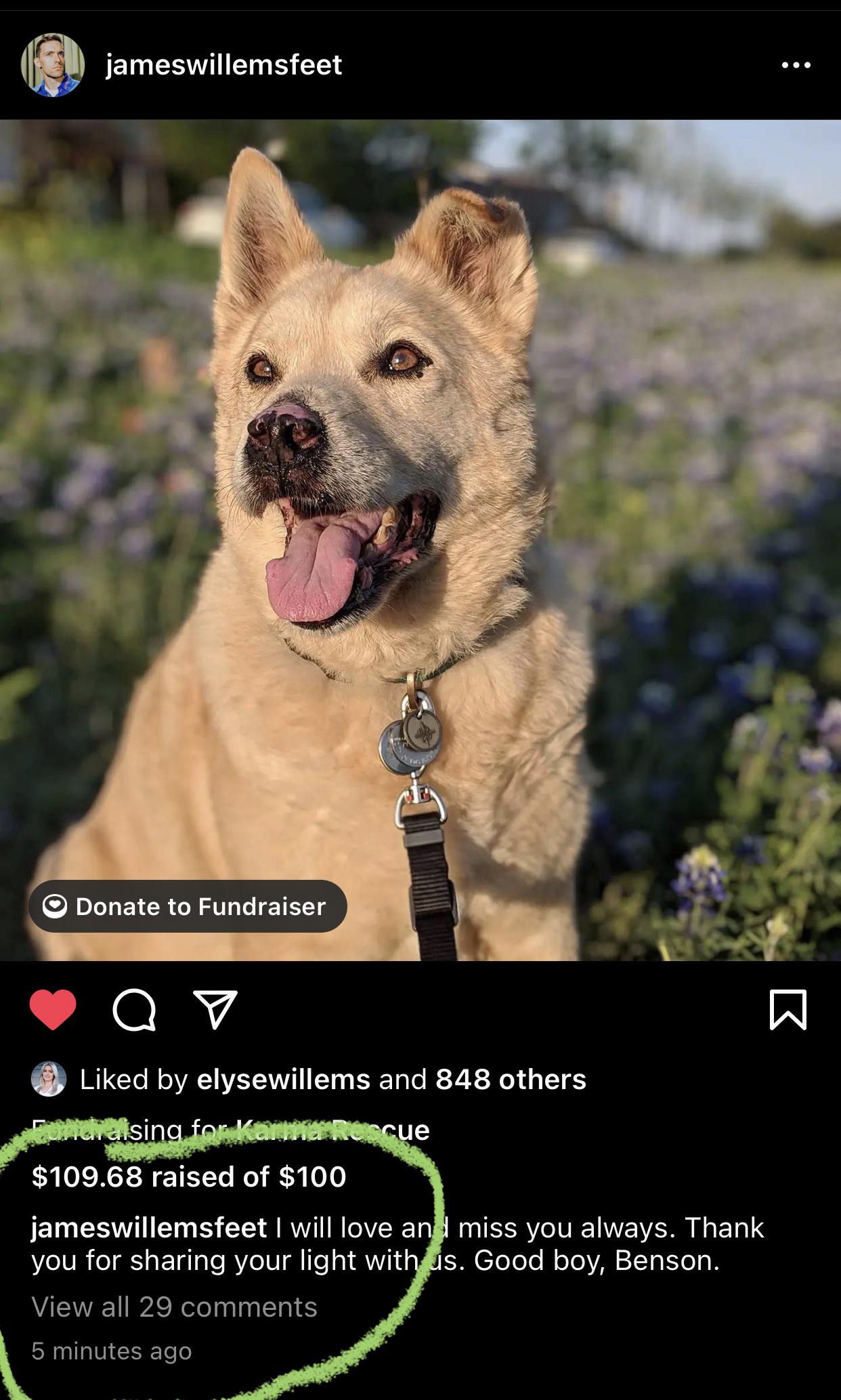 James opens up a charity post for a dog rescue on instagram, Benson