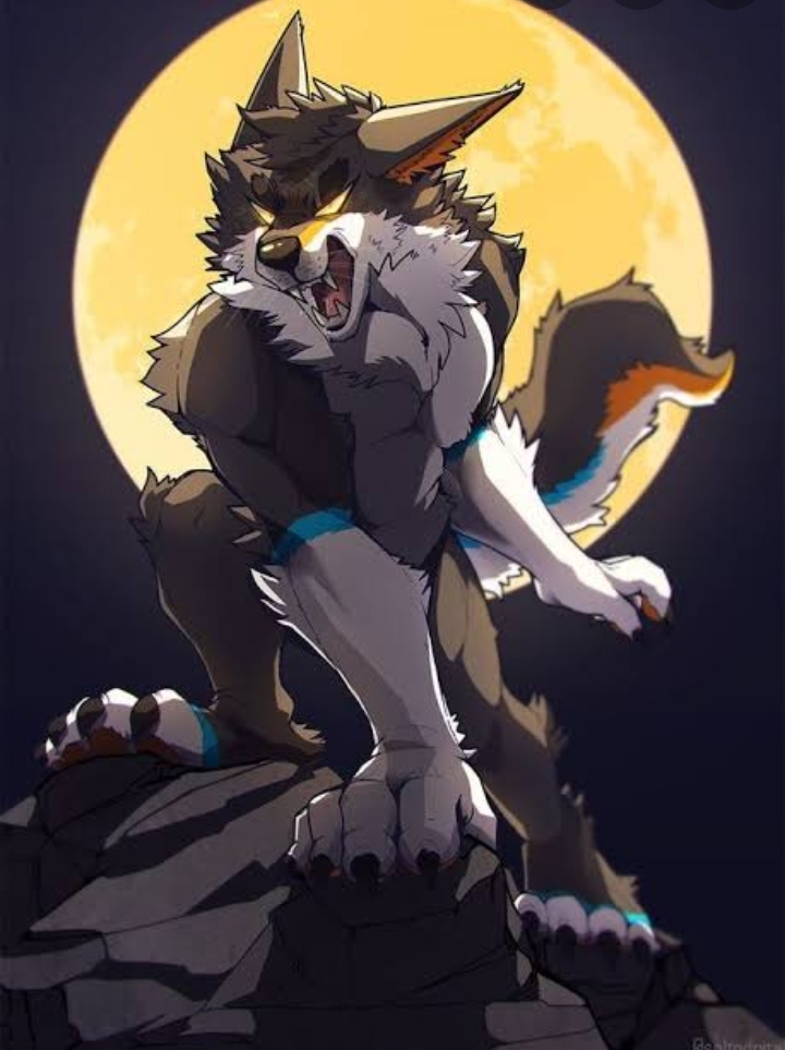 Furry Wallpaper for phone 😍 ️ r/FurryWallpapers