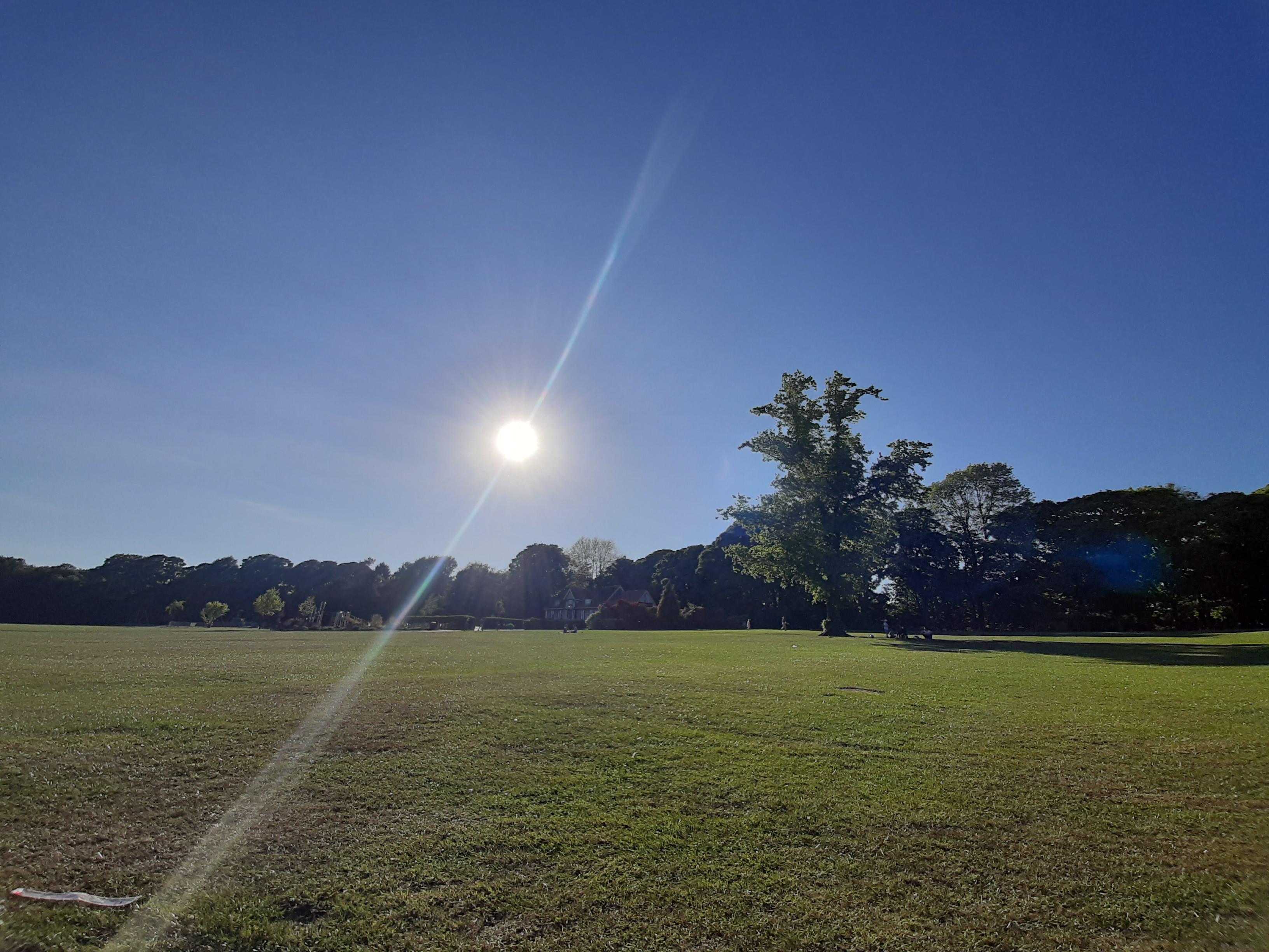 Graves Park this evening r/sheffield