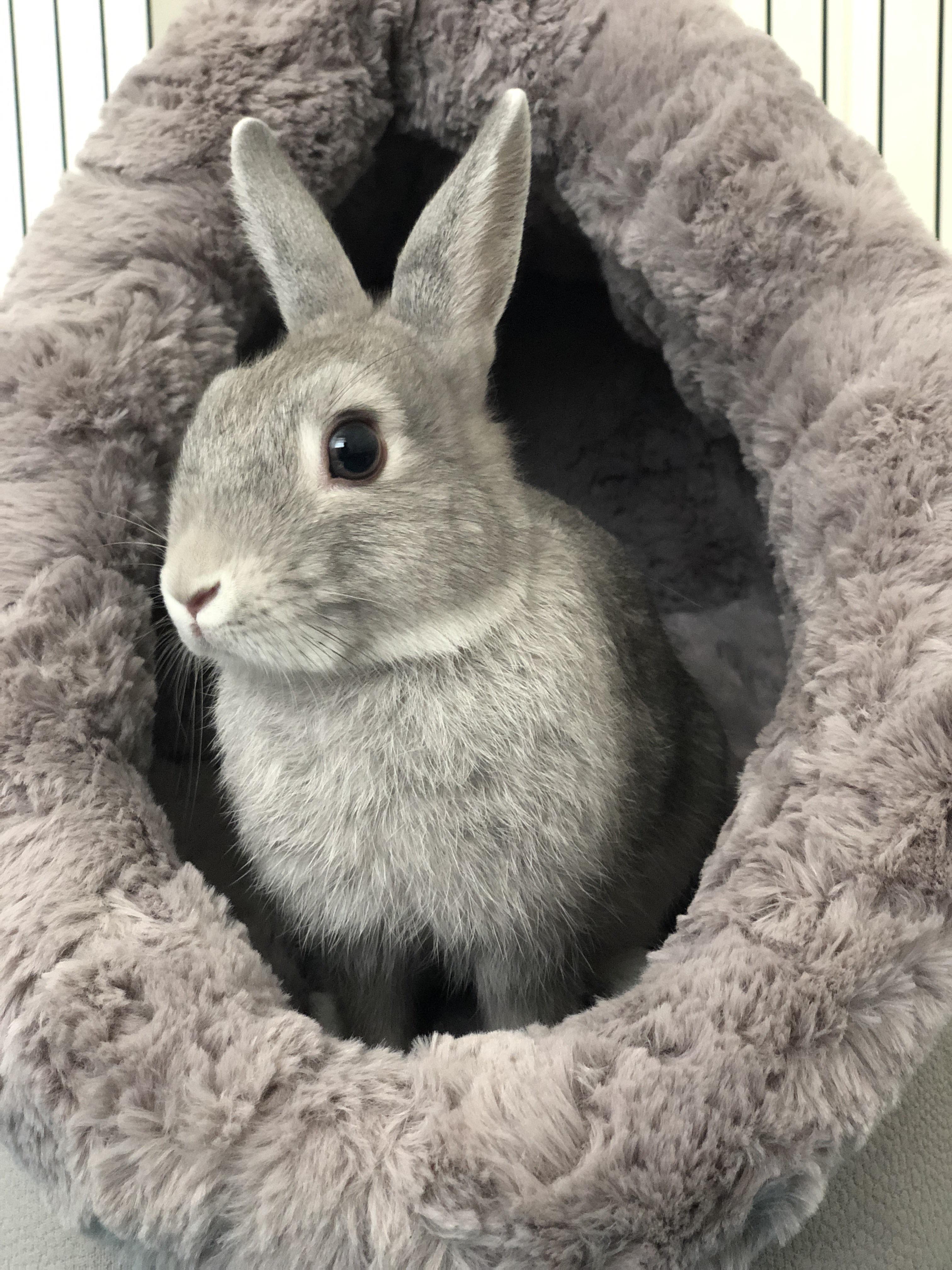 My boy Lando is being neutered this Friday and I’m so nervous, I’ve