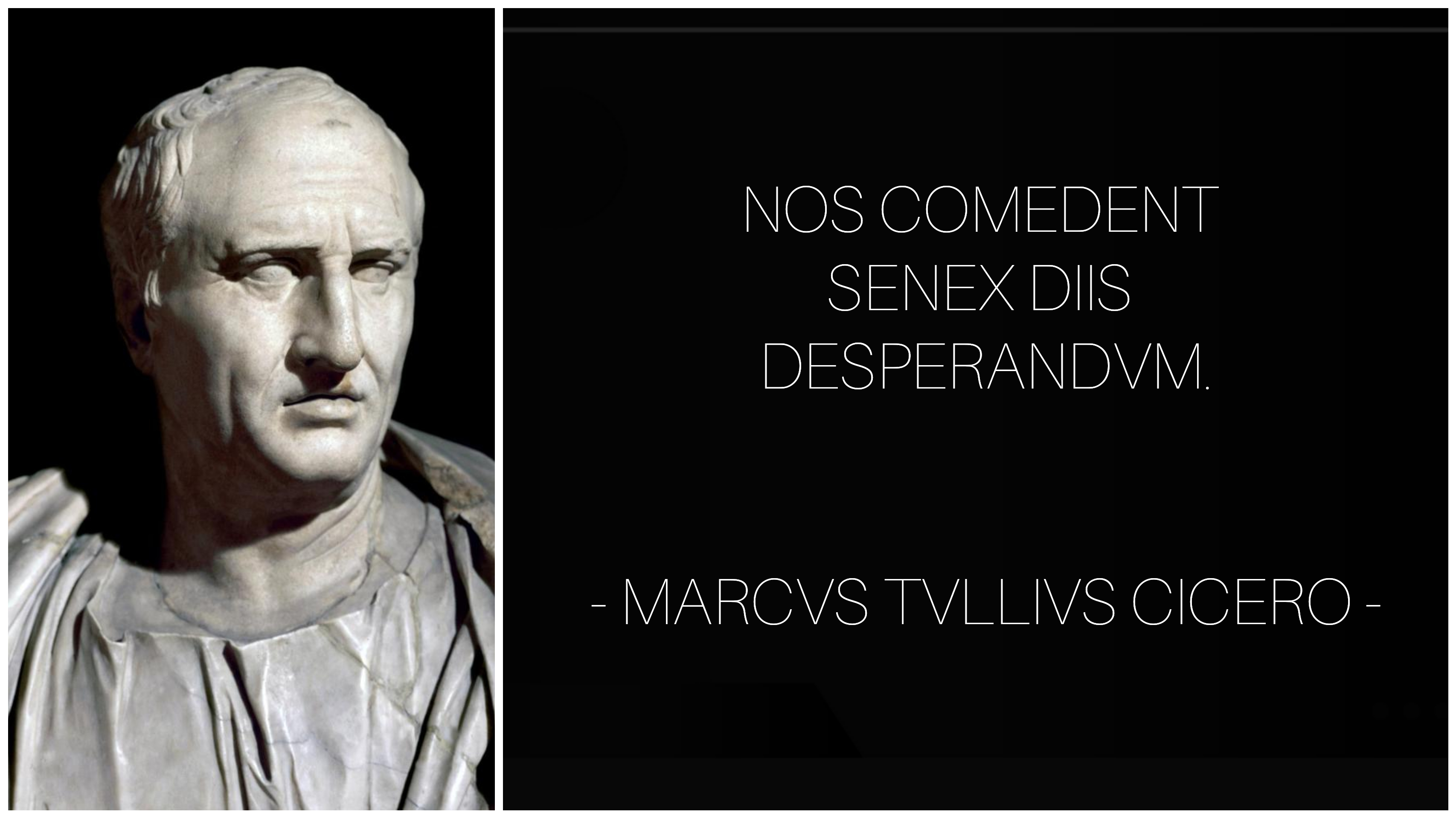 One of my favourite Cicero quotes r/latin