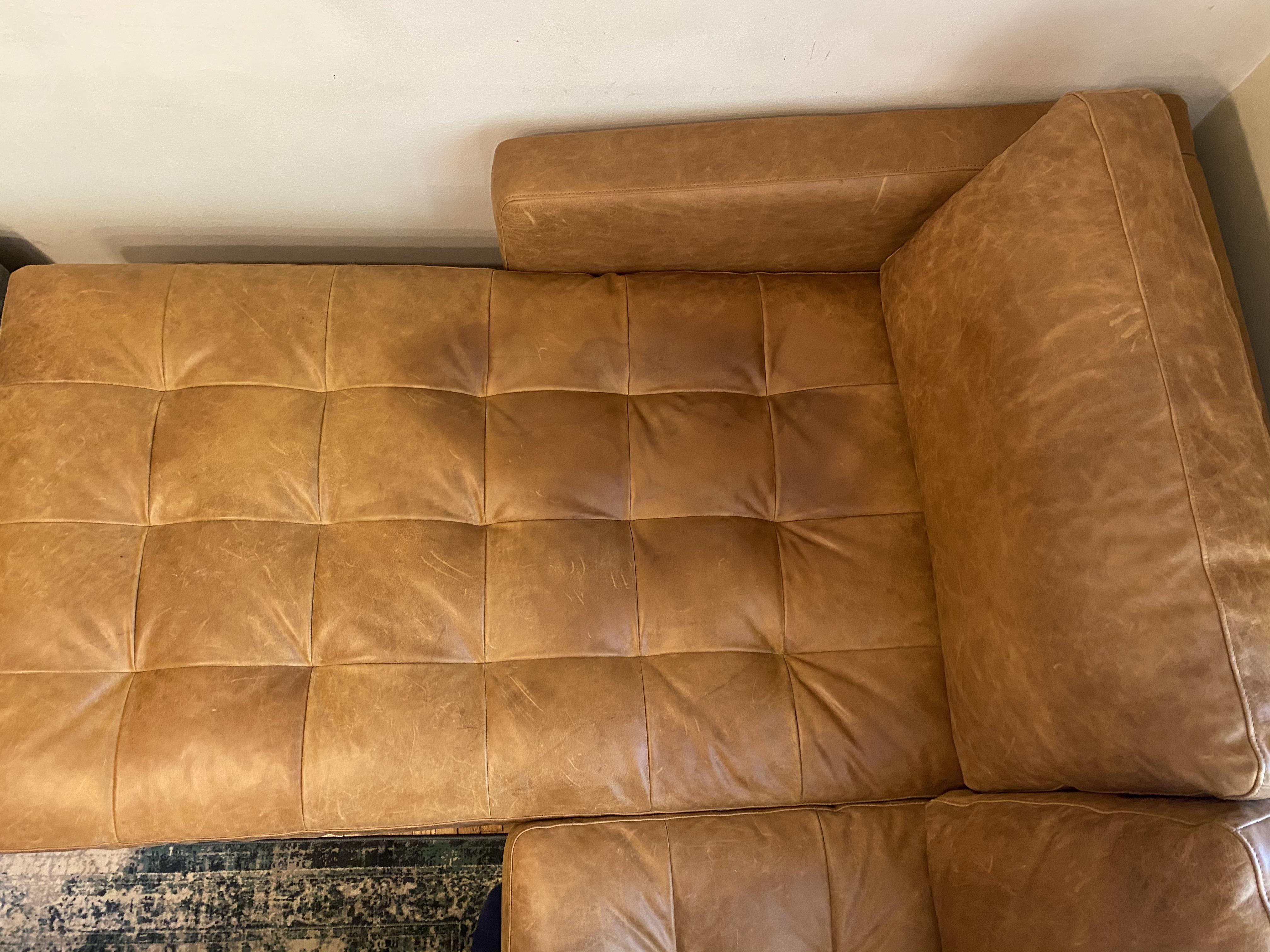 Dog had an accident on my chaise. Possible to get this stain out? r