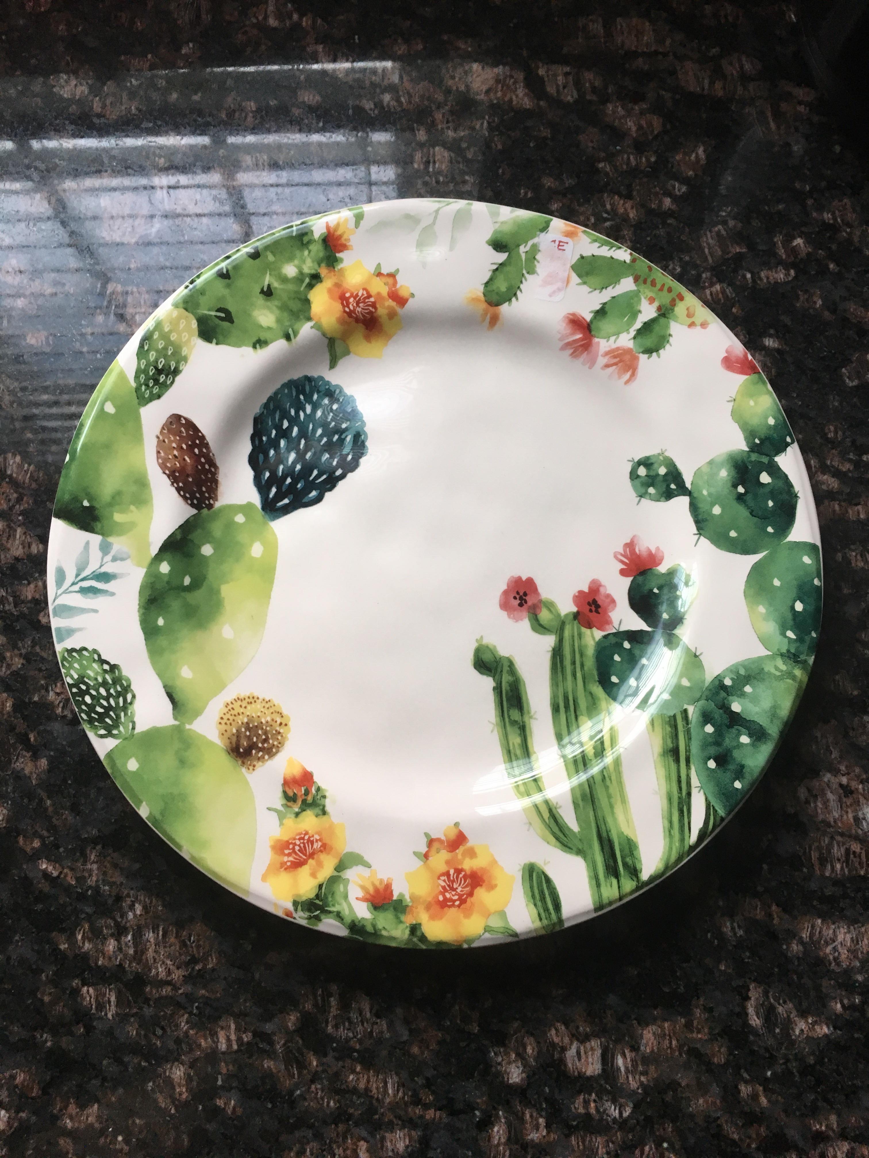 I found this awesome cactus plate at the store today r/succulents