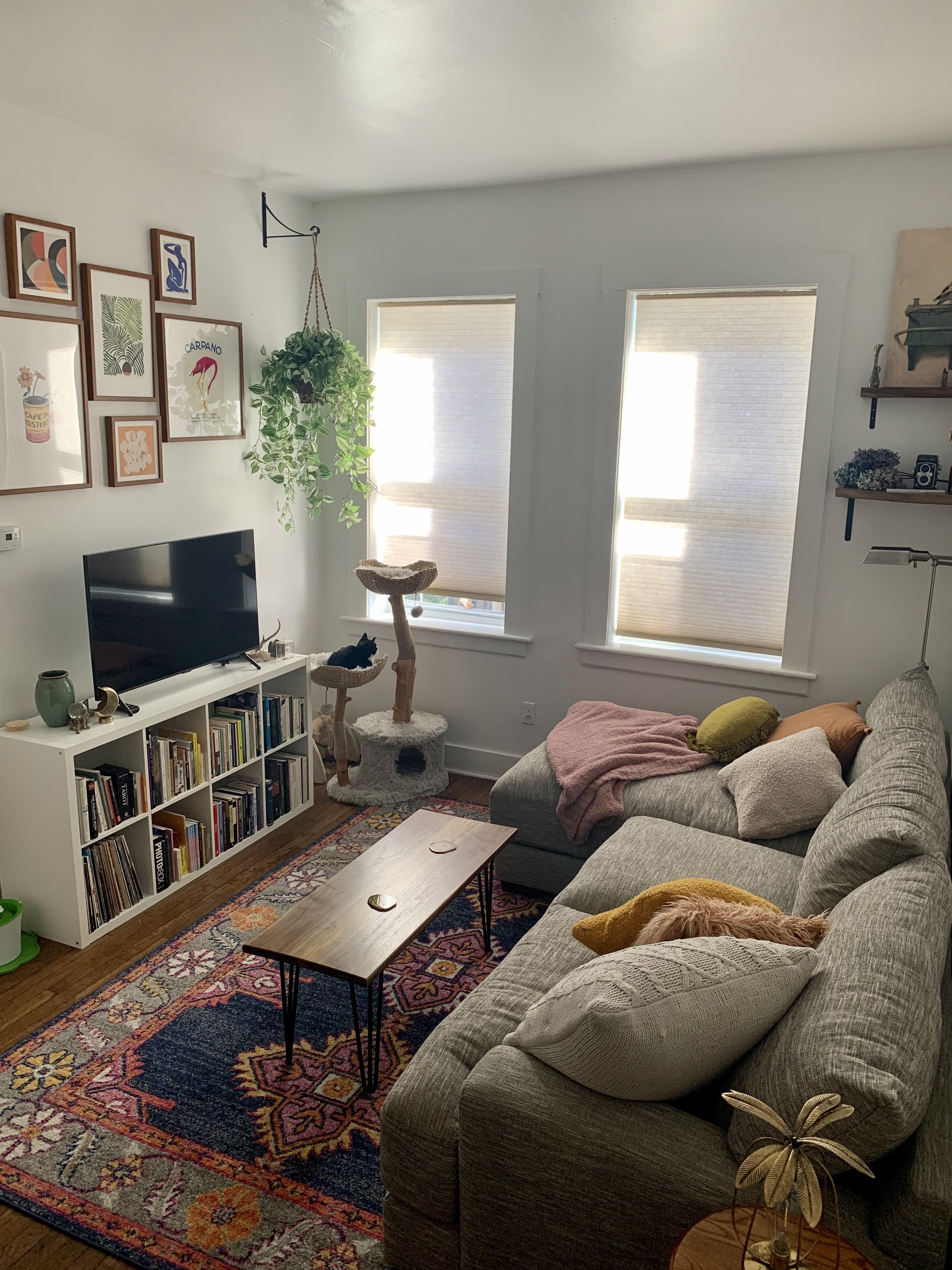 My small apartment living room in New Haven, CT r/AmateurRoomPorn