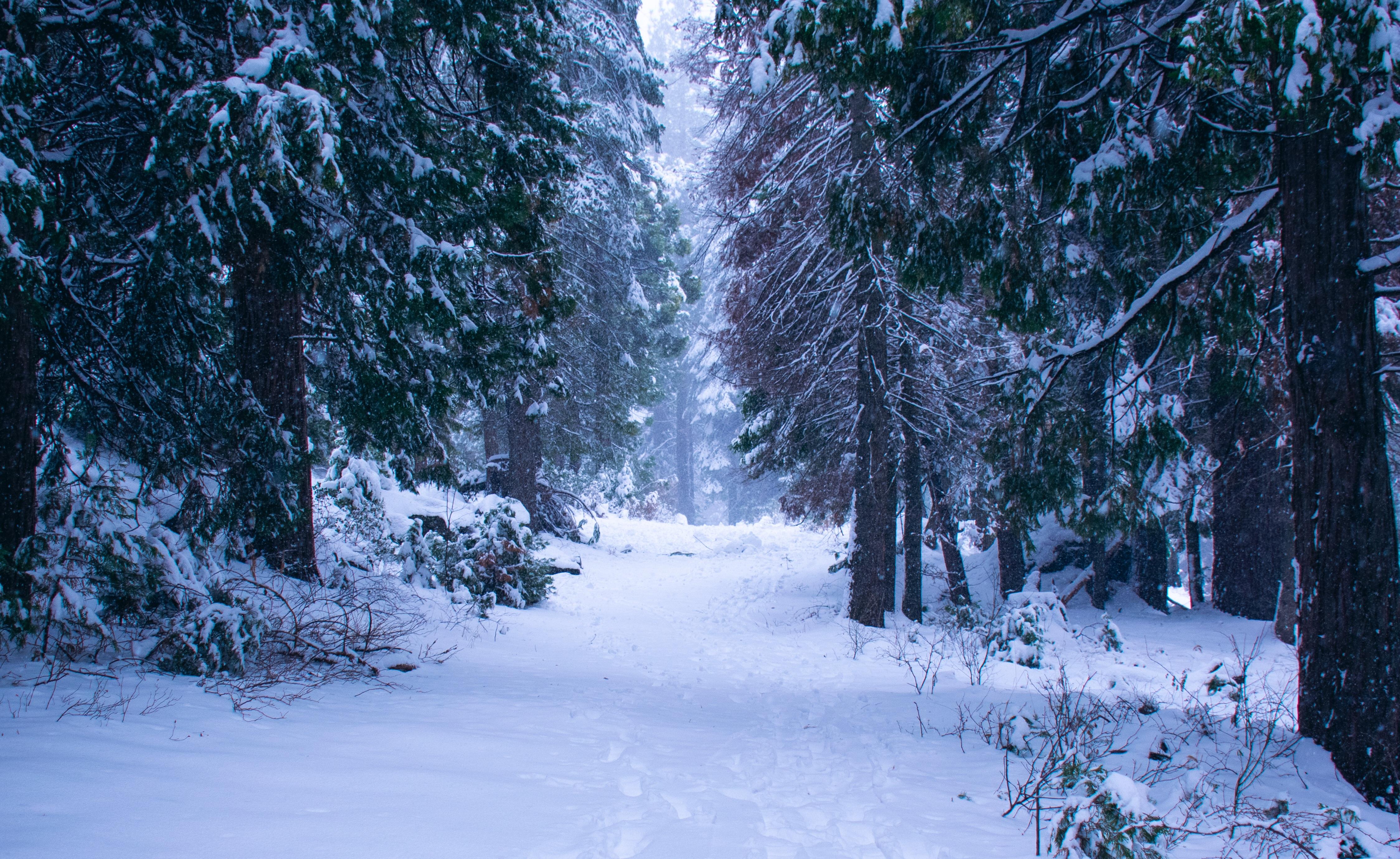 Shaver Lake, California during the winter. r/pics