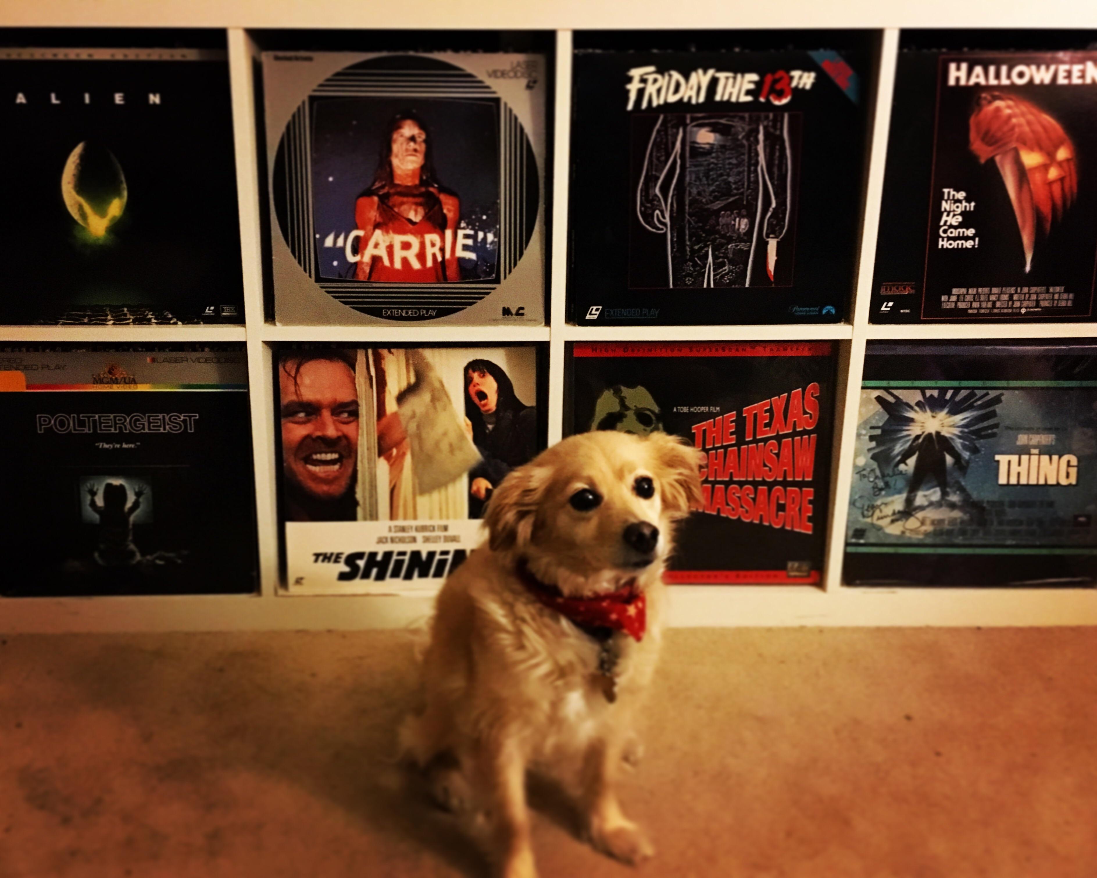 Trying to get a pic of my favorite classic horror movies on laserdisc