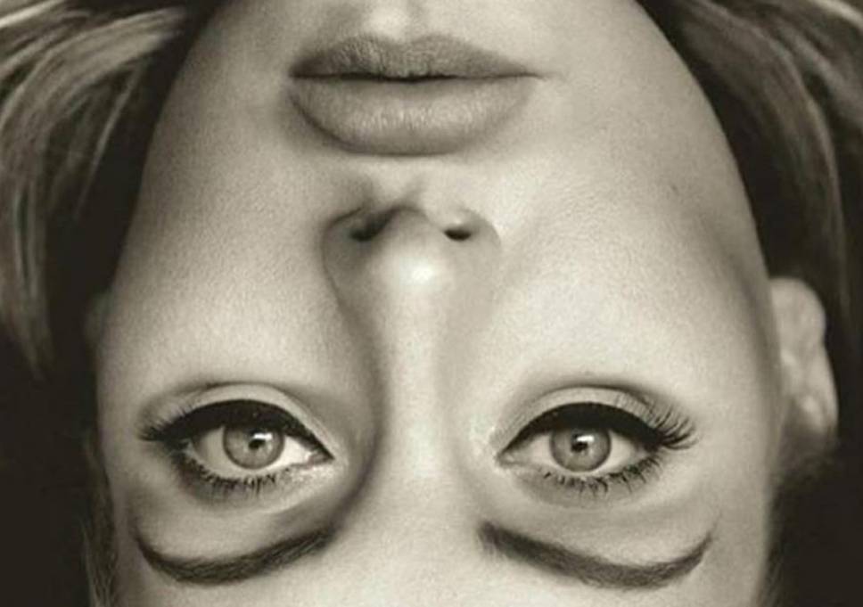 Perfectly normal picture of Adele until you turn it upside down... r/pics