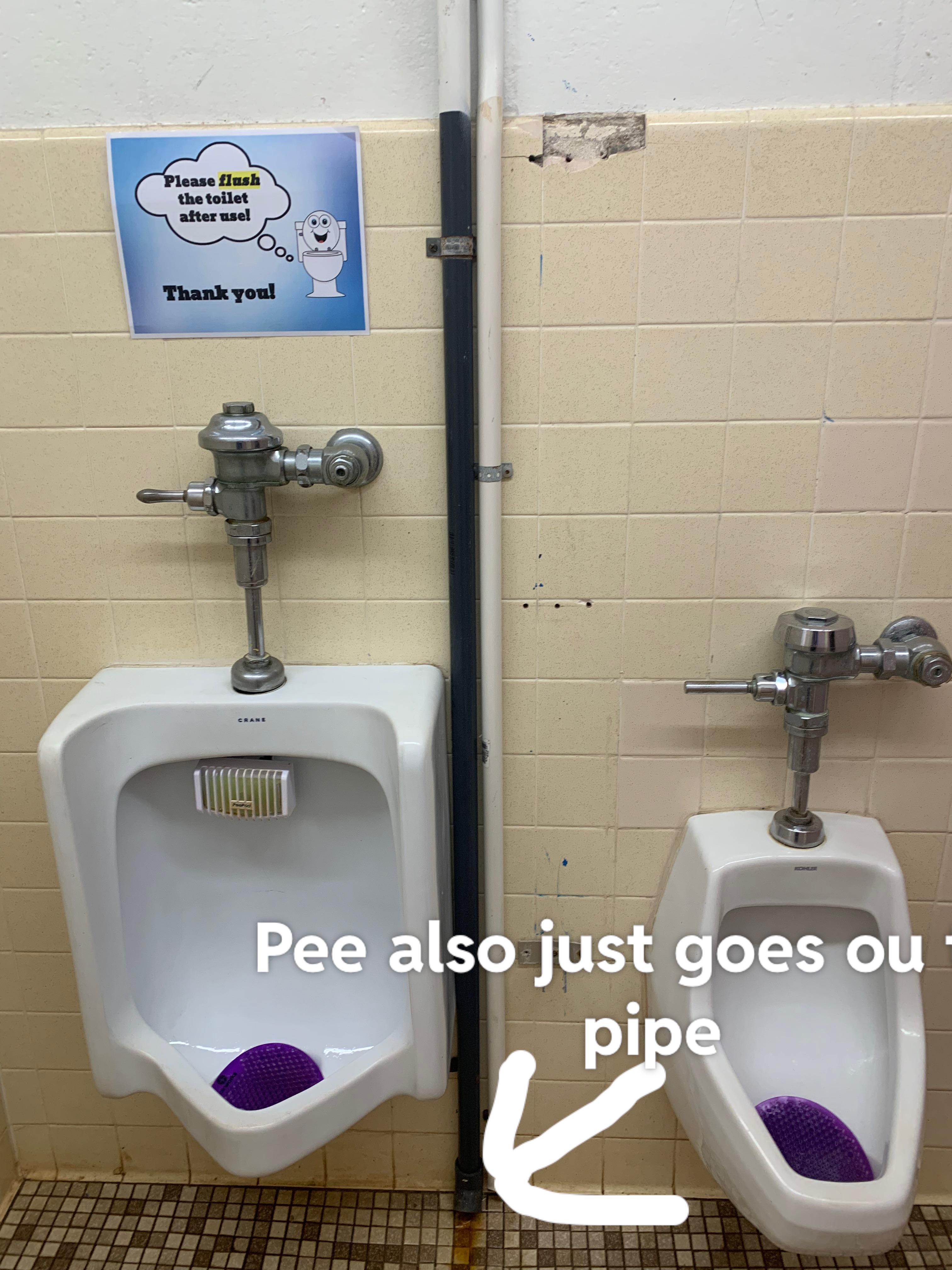 My school bathroom has no urinal dividers(sign is creepy too) r/mildlyinfuriating