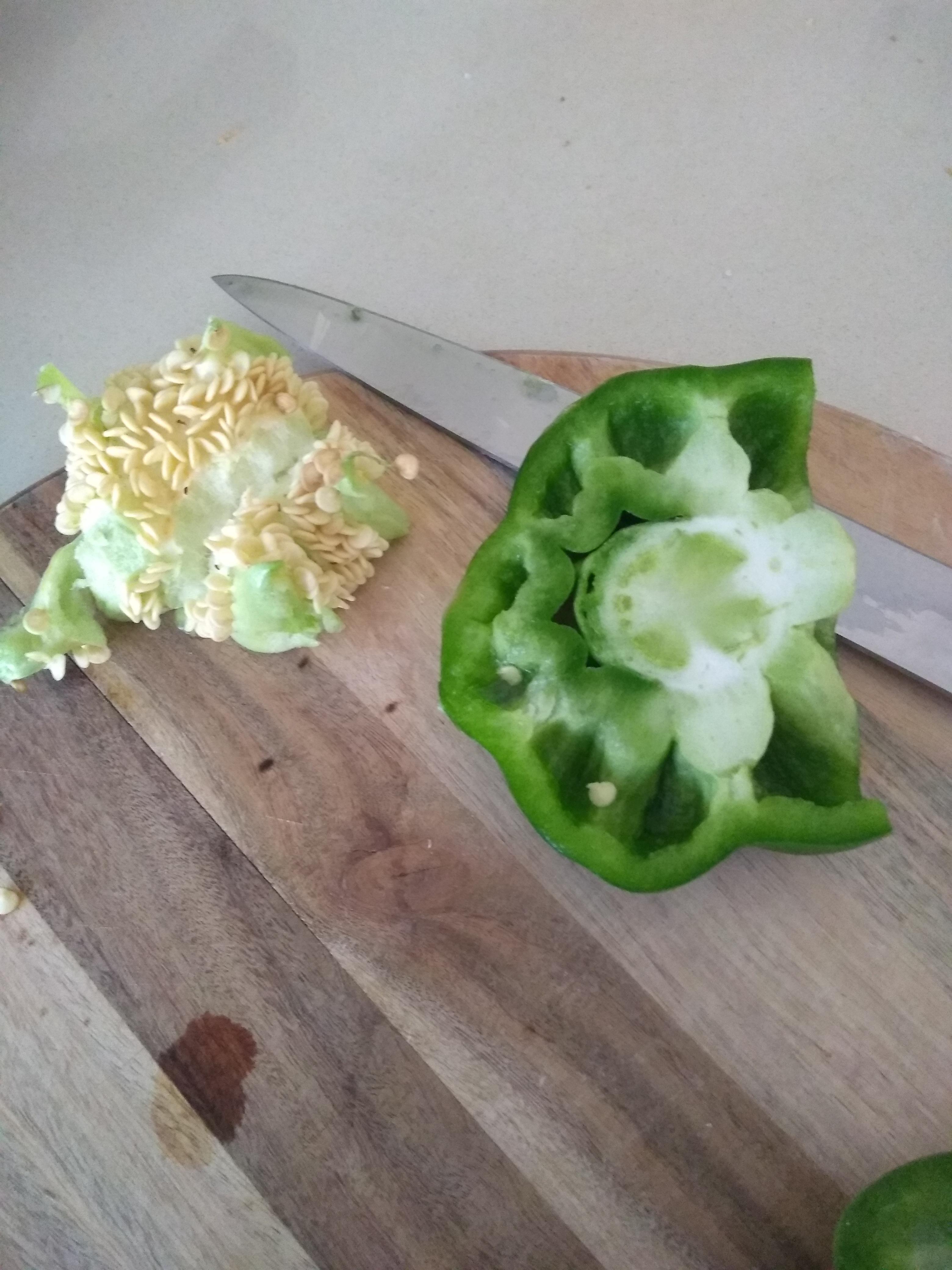 44 Hilarious List of edible seeds Puns Punstoppable 🛑