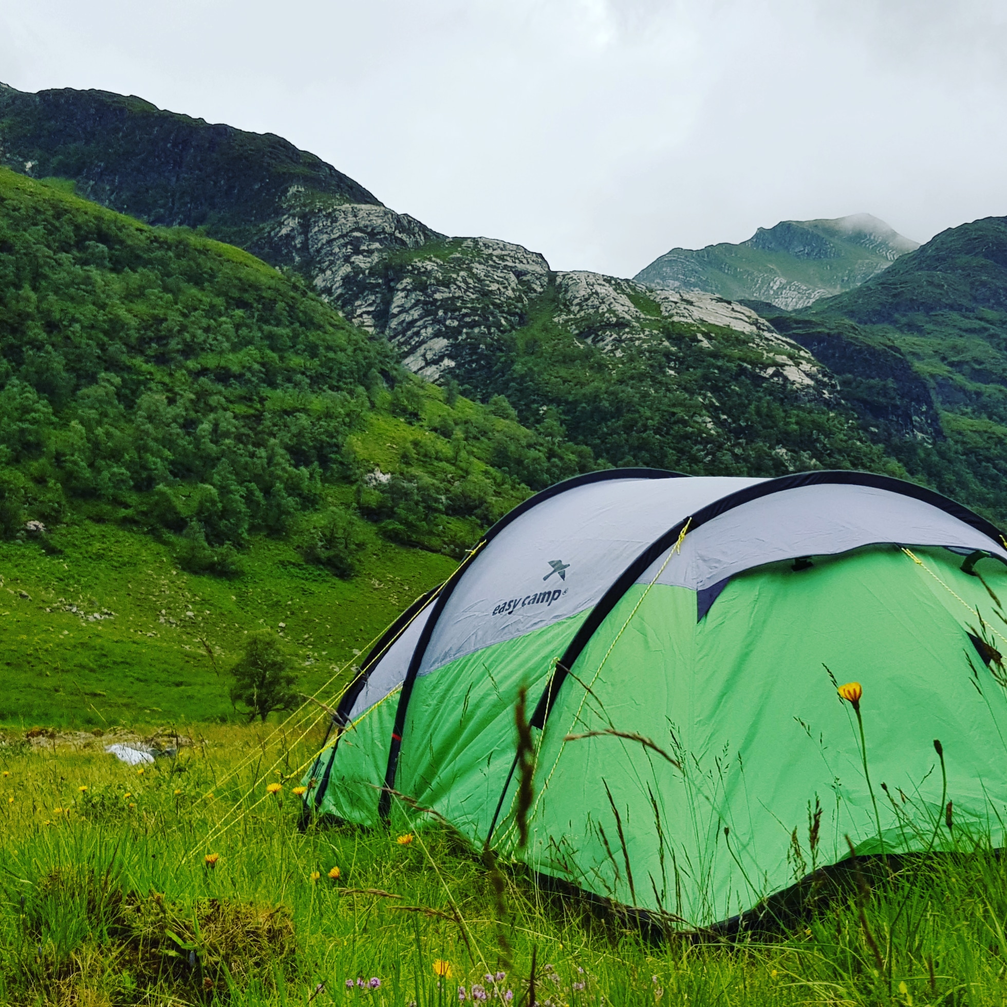 Camping in the wild pics