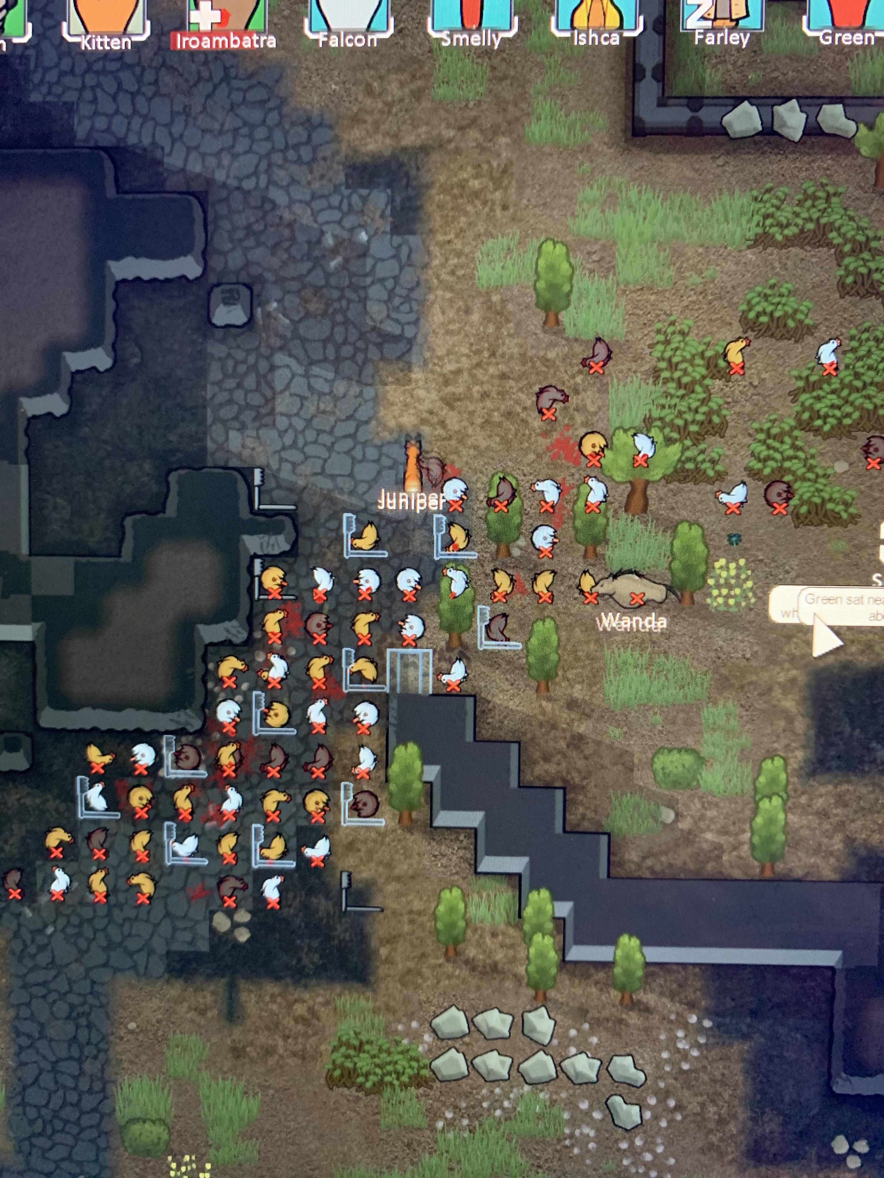 Manhunting chickens. 70+ r/RimWorld