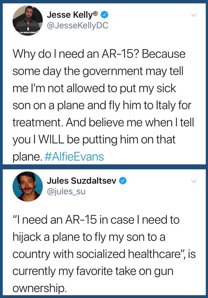 Gun ownership... r/facepalm