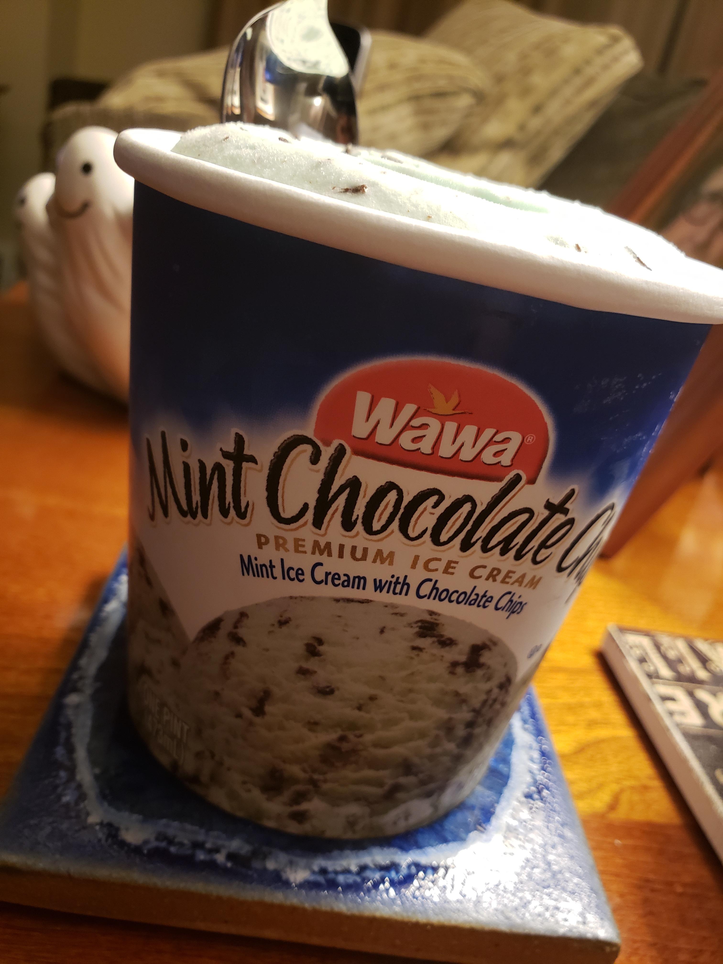 What's your favorite flavor? Wawa ice cream r/Wawa