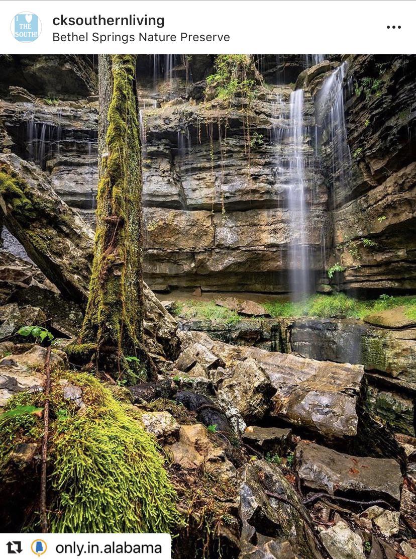 Bethel Spring Nature Preserve, New Hope, AL r/imagesofalabama