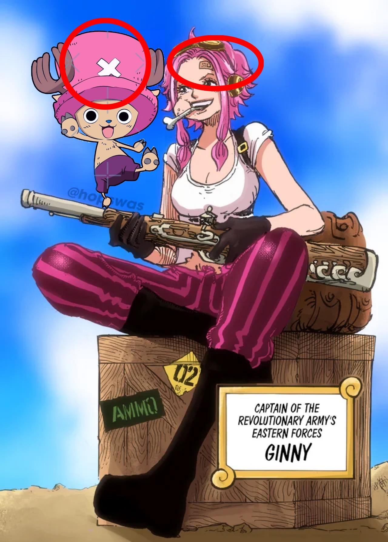 Kumas Girlfriend was Made Into Choppers Hat Theory r/OnePiece