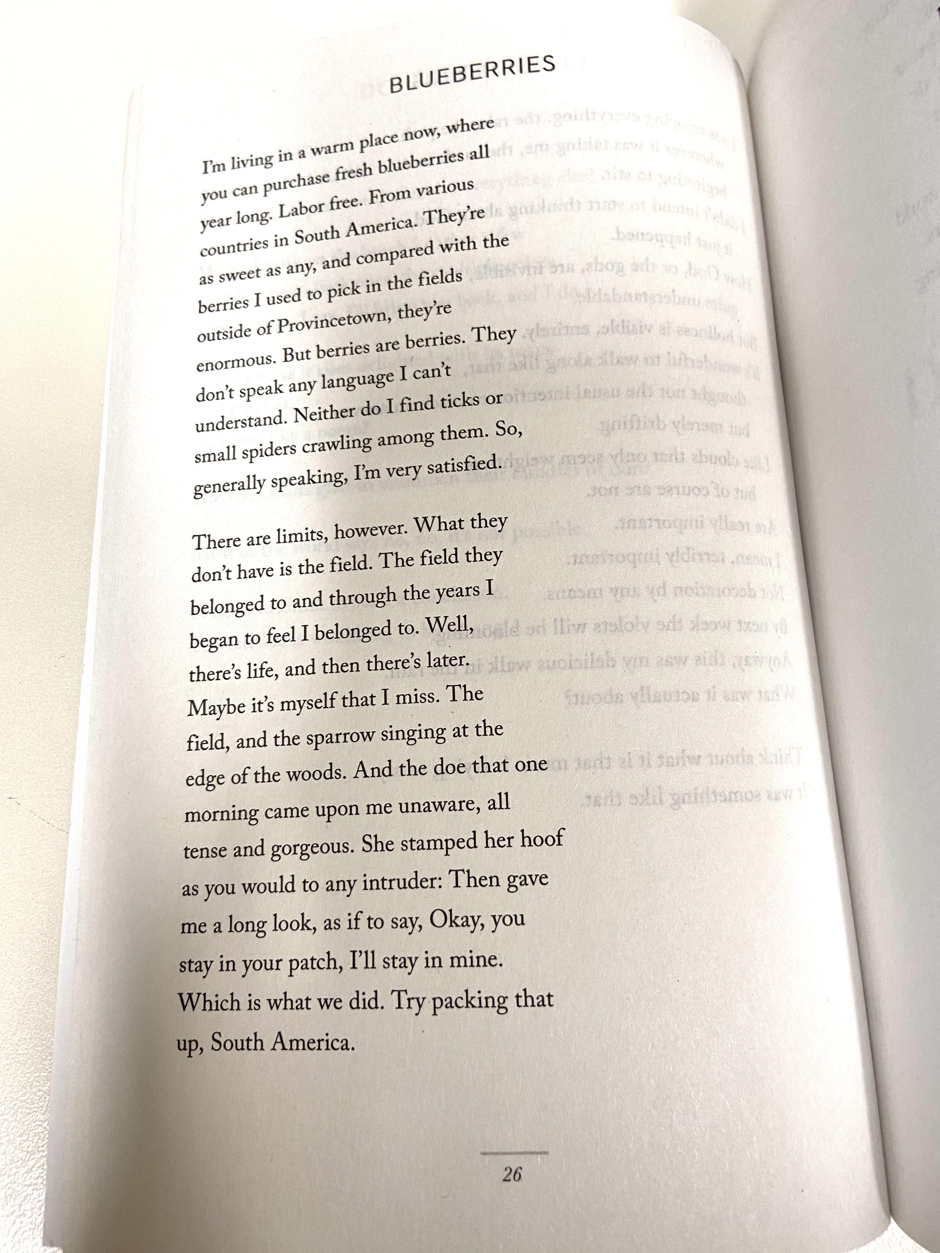 Picking Blueberries Mary Oliver Analysis Discount mcpi.edu.ph