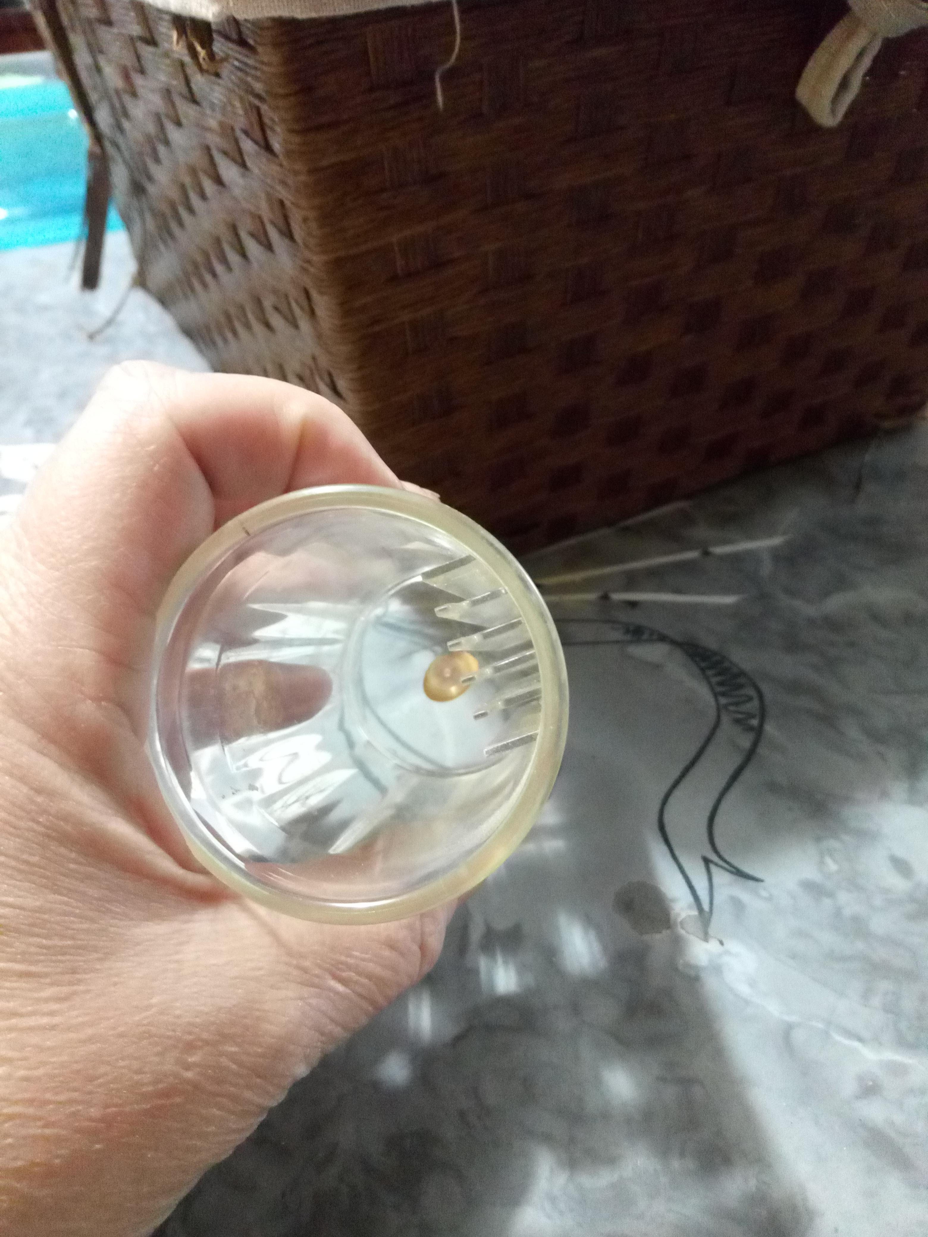 Tiny plastic cup with ribs inside? r/Whatisthis