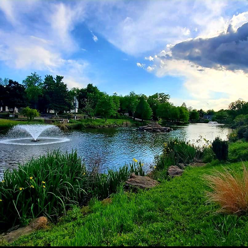 My favorite running spot in Tulsa. Swan Lake. r/tulsa