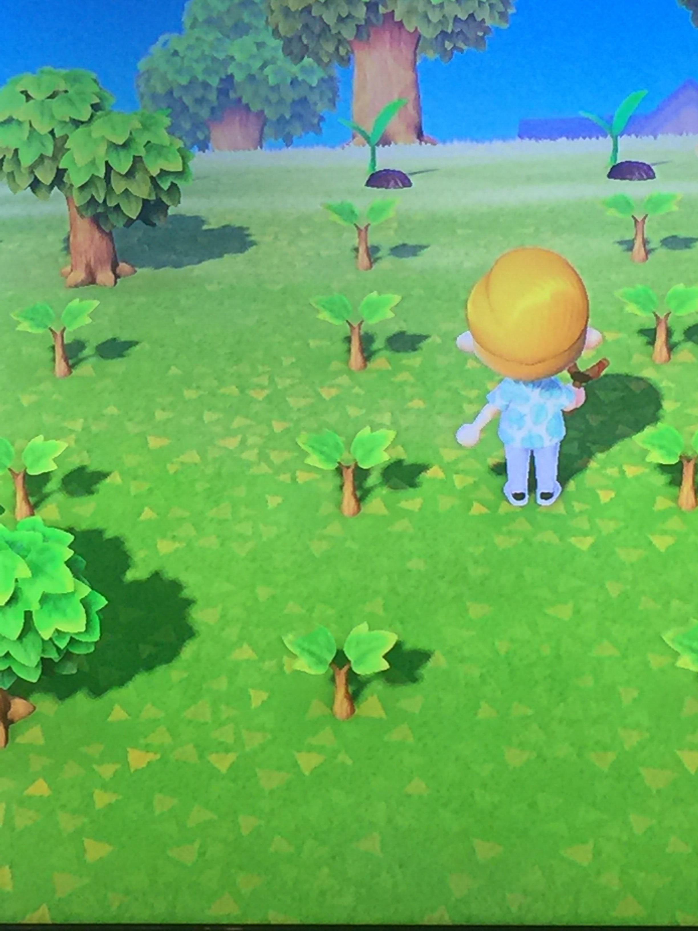 Why are some cherry trees growing while others aren’t? r/AnimalCrossing