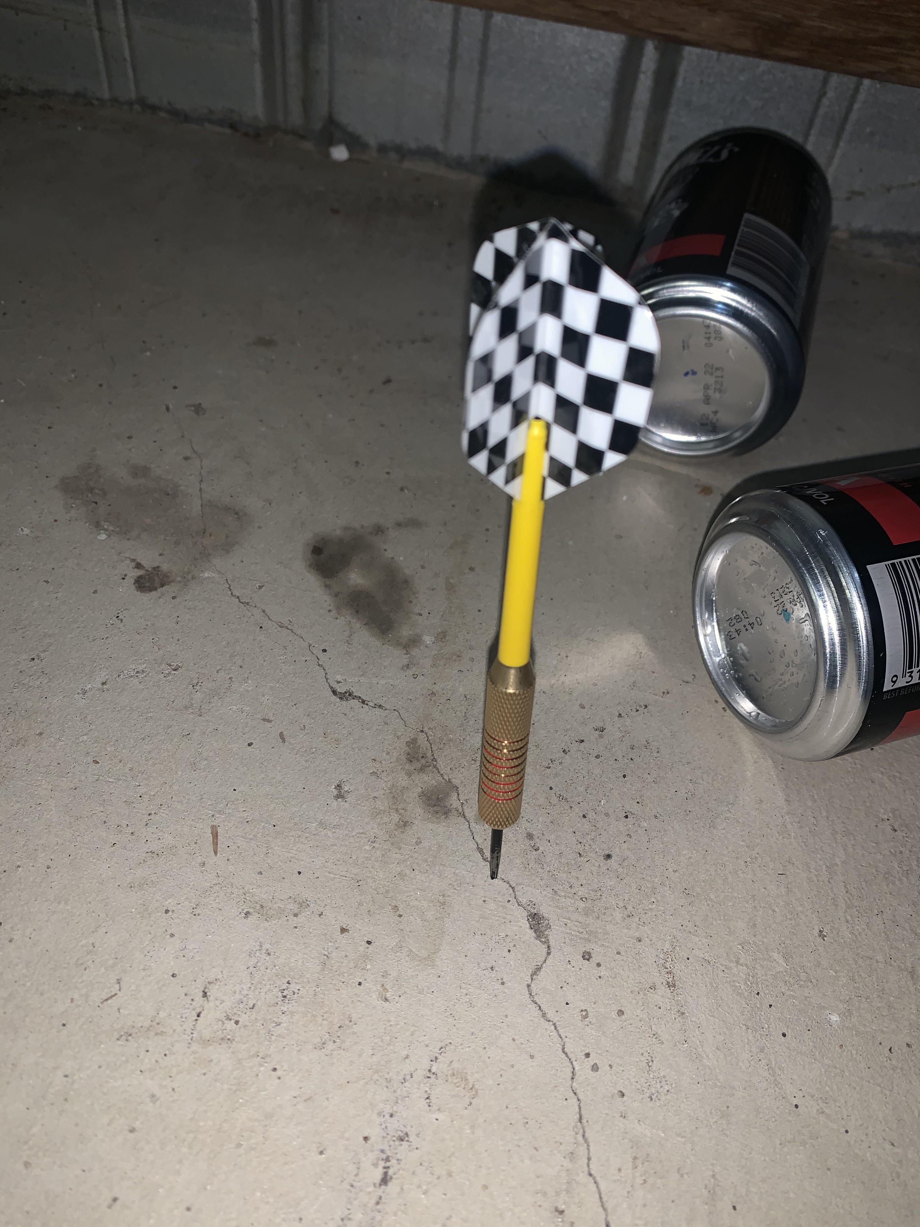 Incredible drop! Girlfriend threw a dart that bounced off the board and