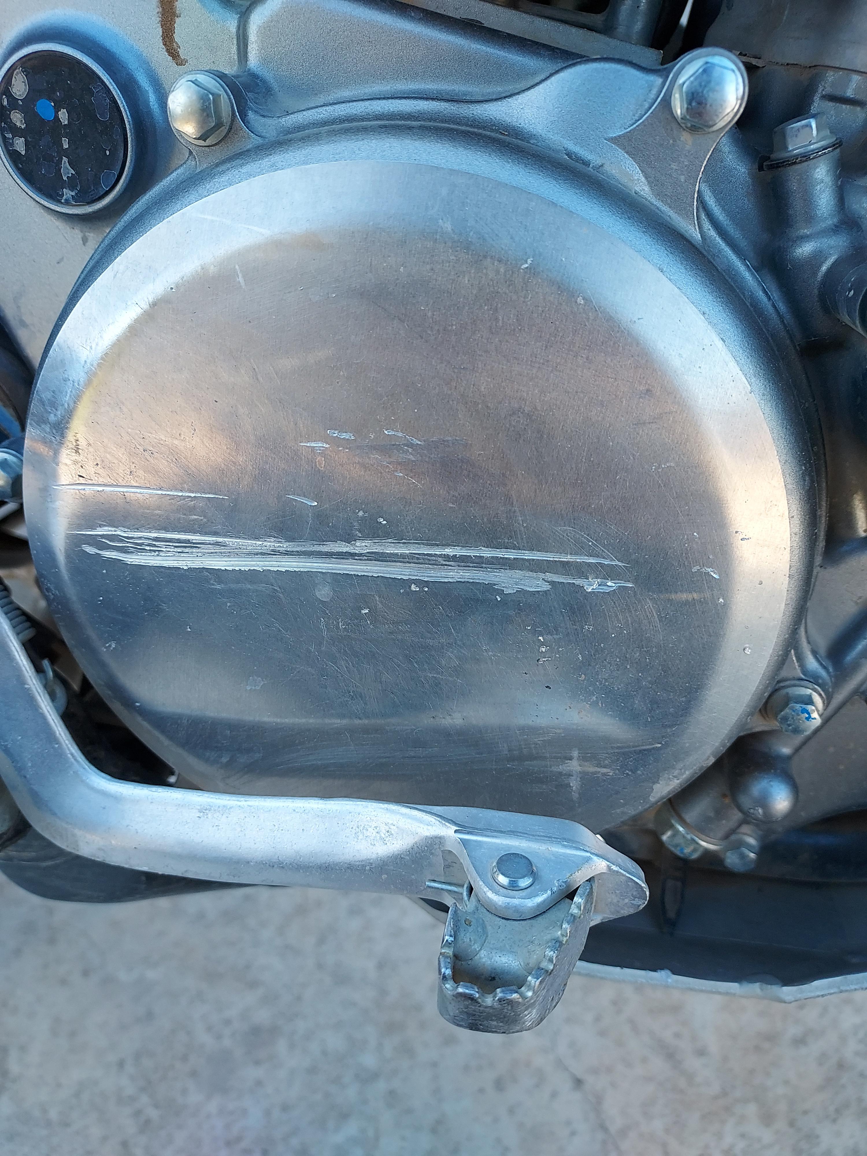 Just wanted to share this photo in case anyone's still on the fence