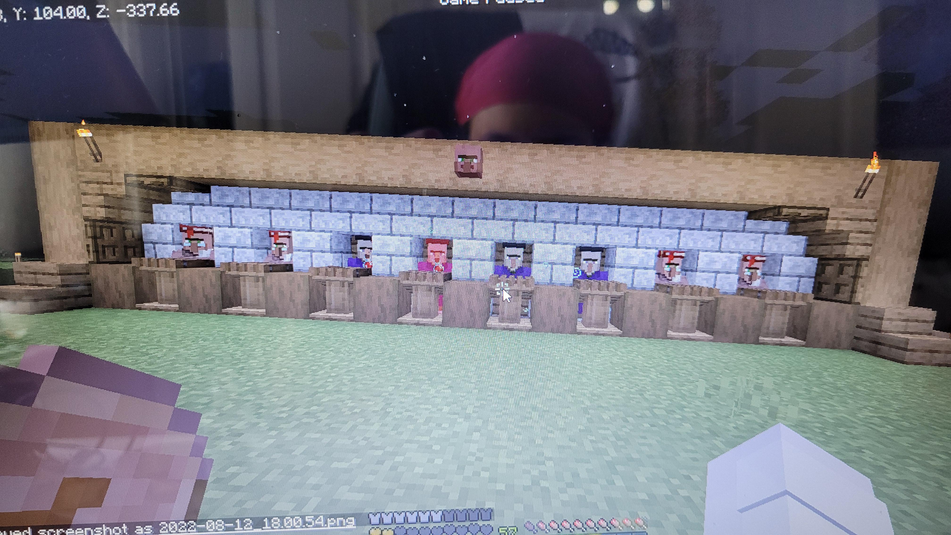 my villager hall got struck by lightning and i didnt realise gonna cry