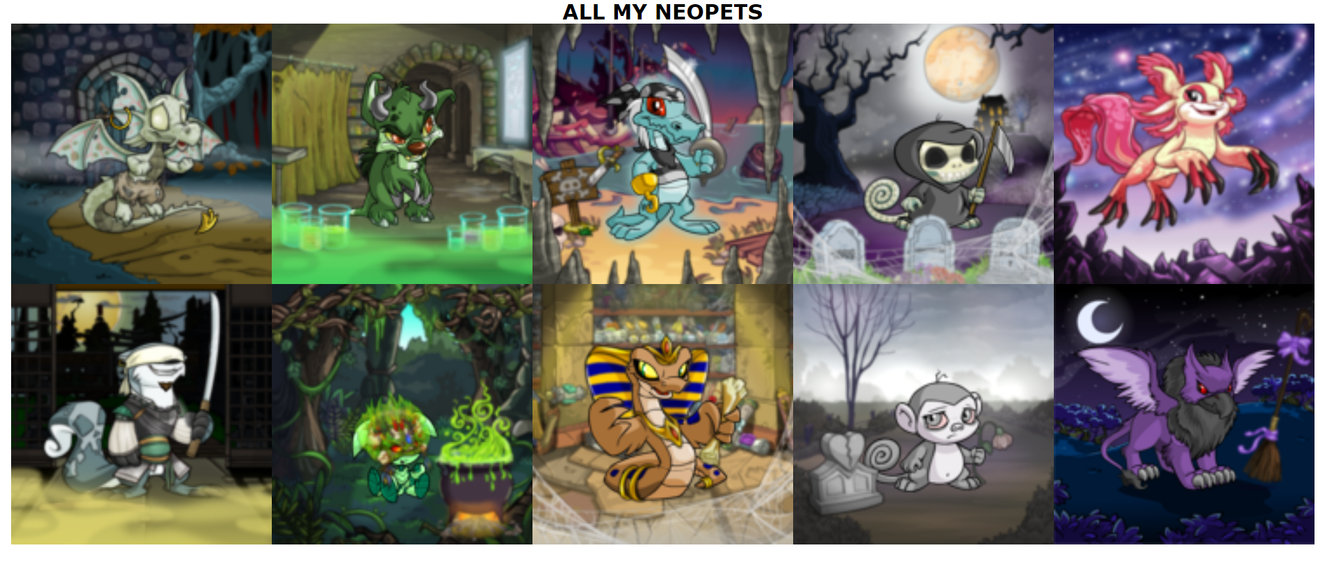 Finally customized all of my dream pets!! Here is the gang of misfit