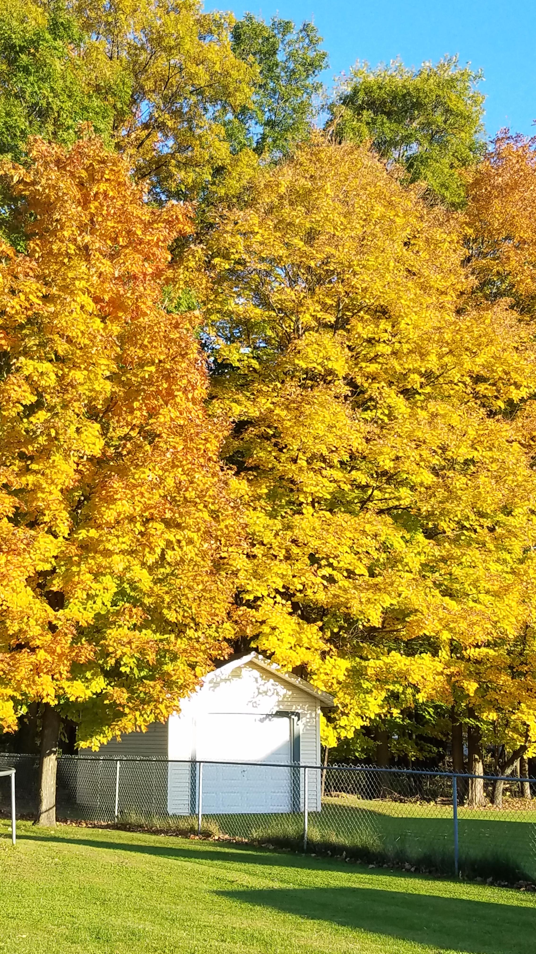 Fall in Macedon, NY r/pics