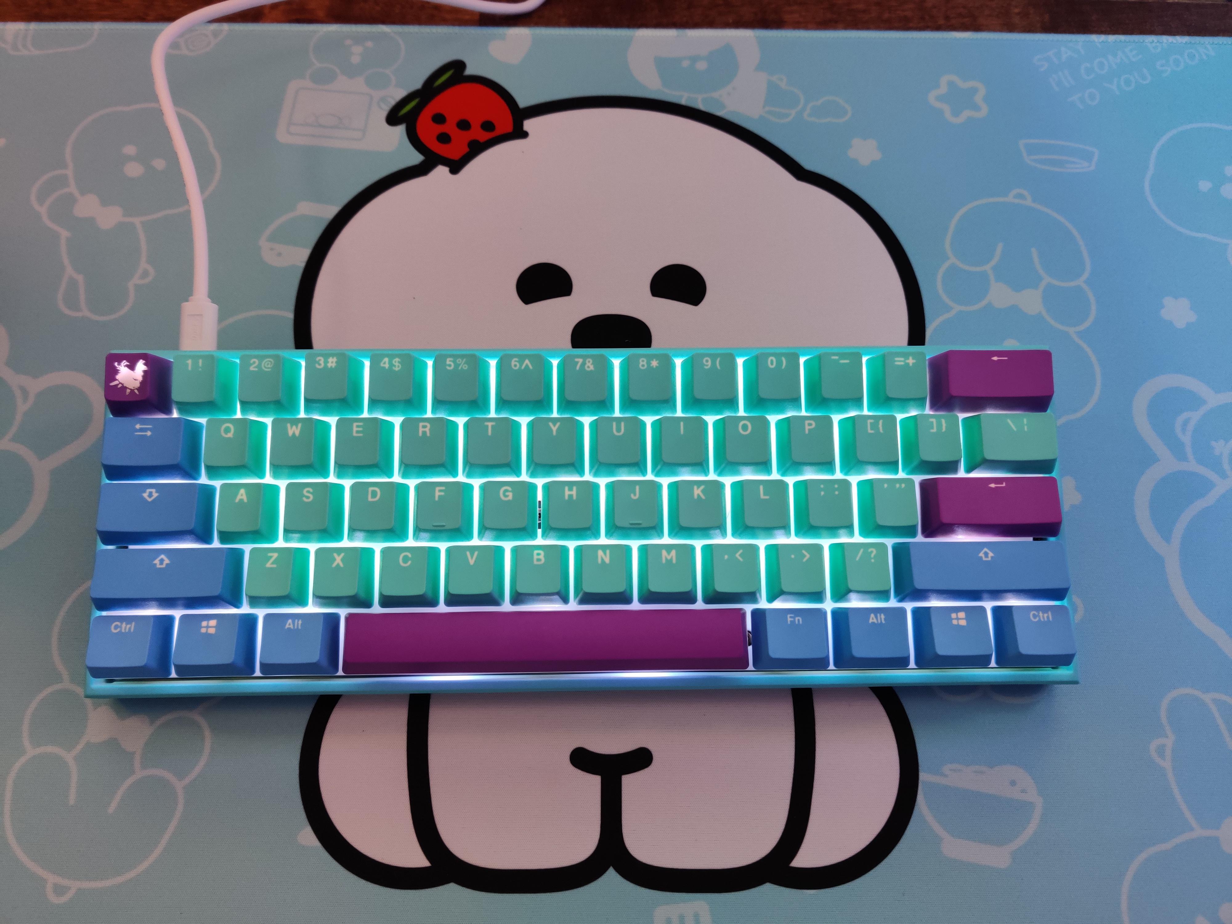 Received the Ducky Mecha Mini Frozen Llama edition from