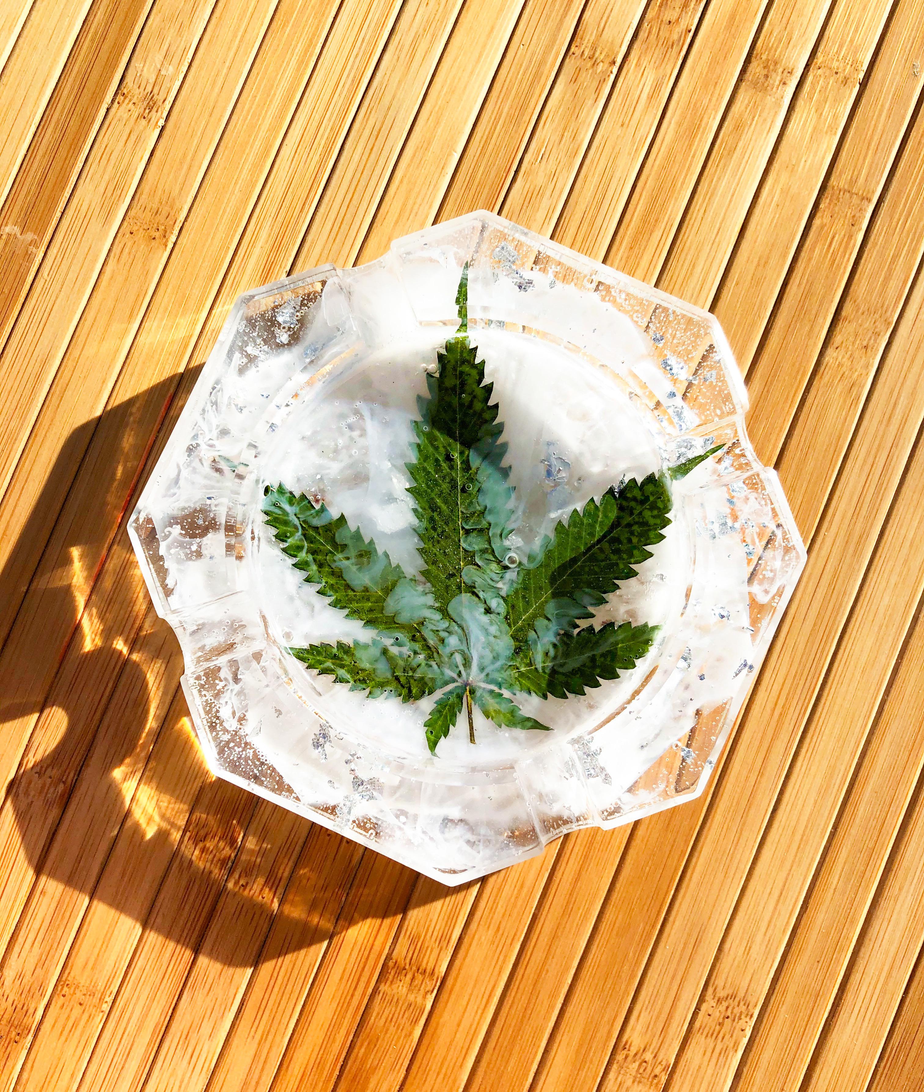 Dried Marijuana Leaf in Resin Ashtray r/epoxy